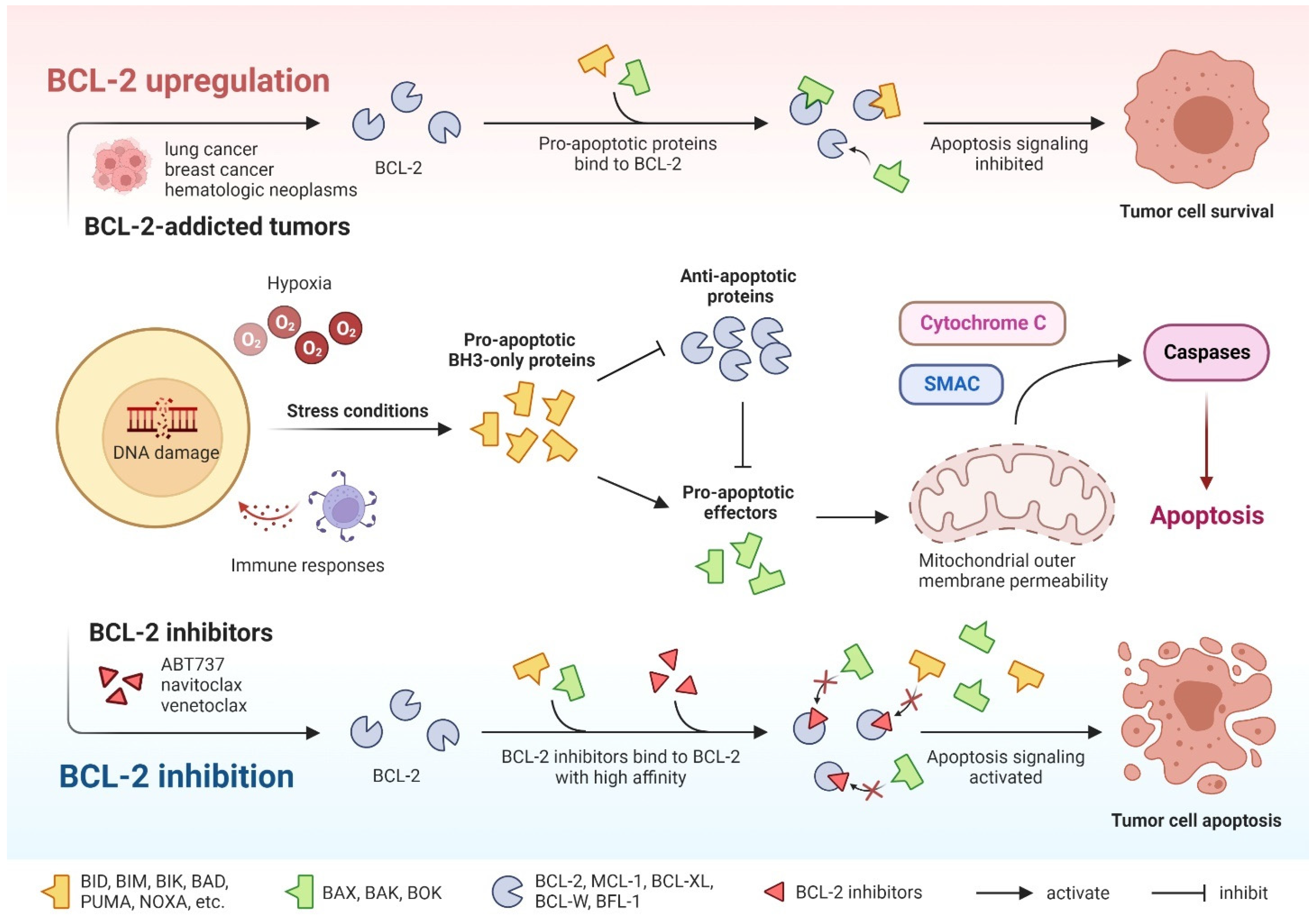 Cancers 15 04957 g002