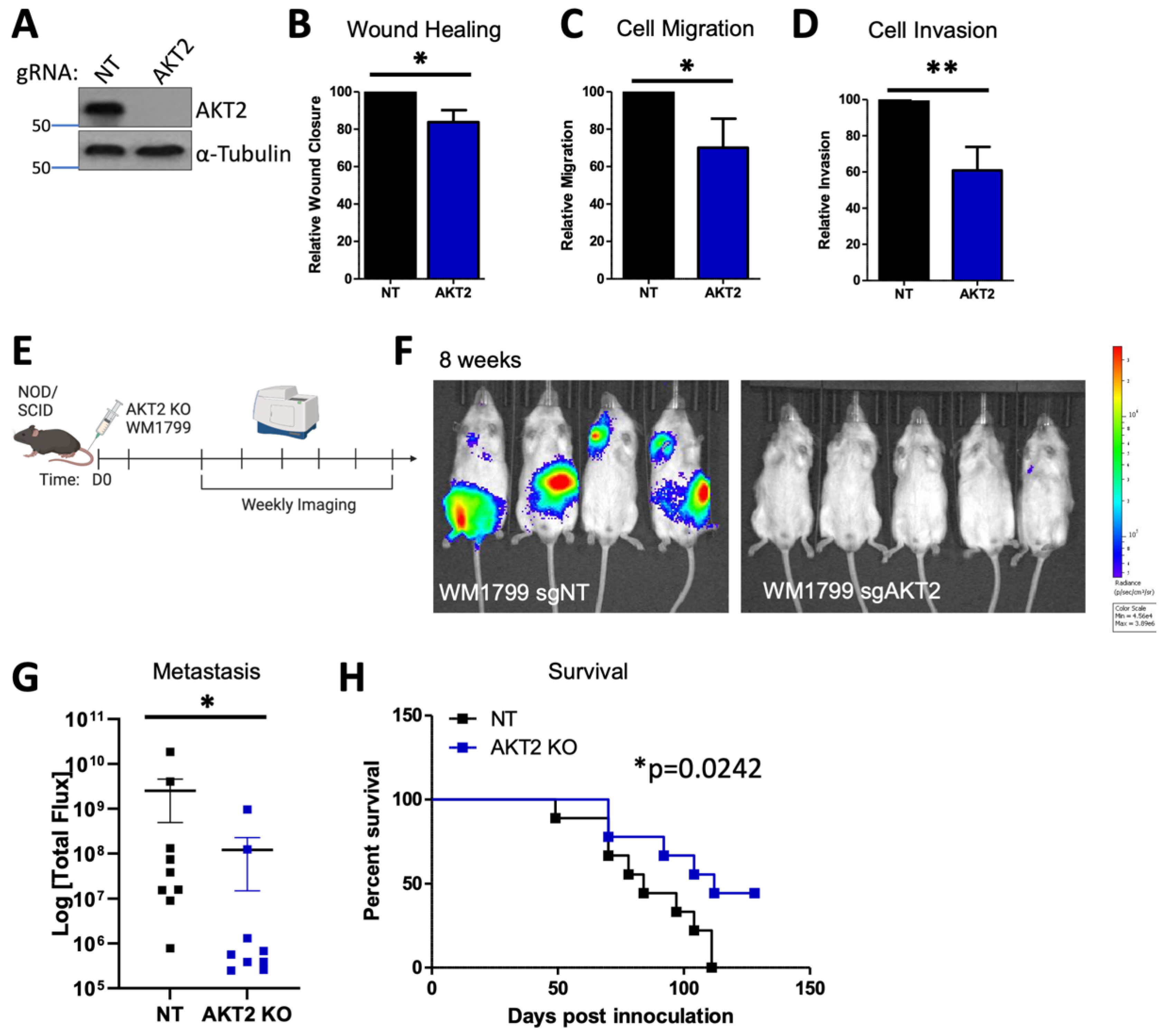 Cancers 15 04958 g005