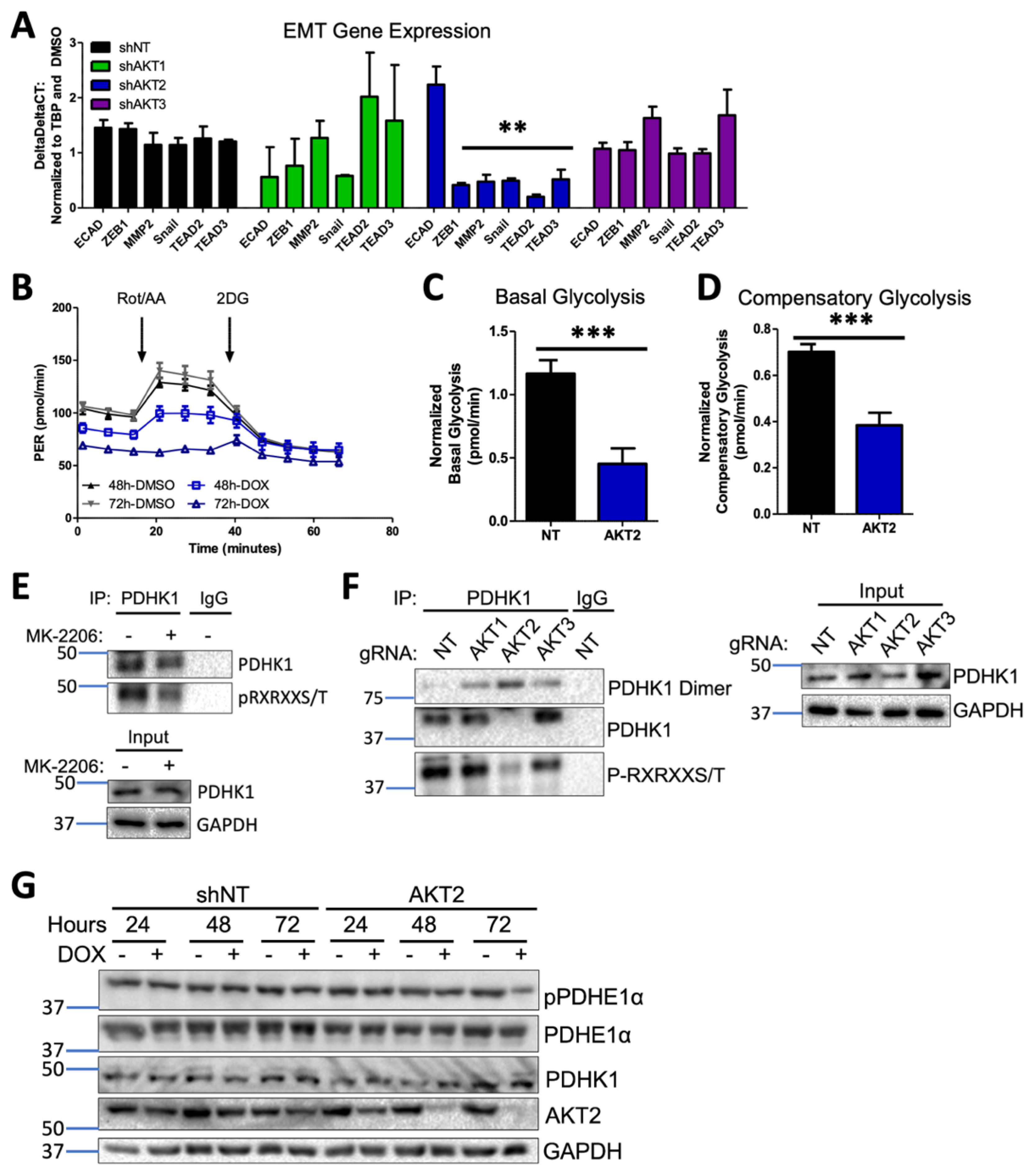 Cancers 15 04958 g006