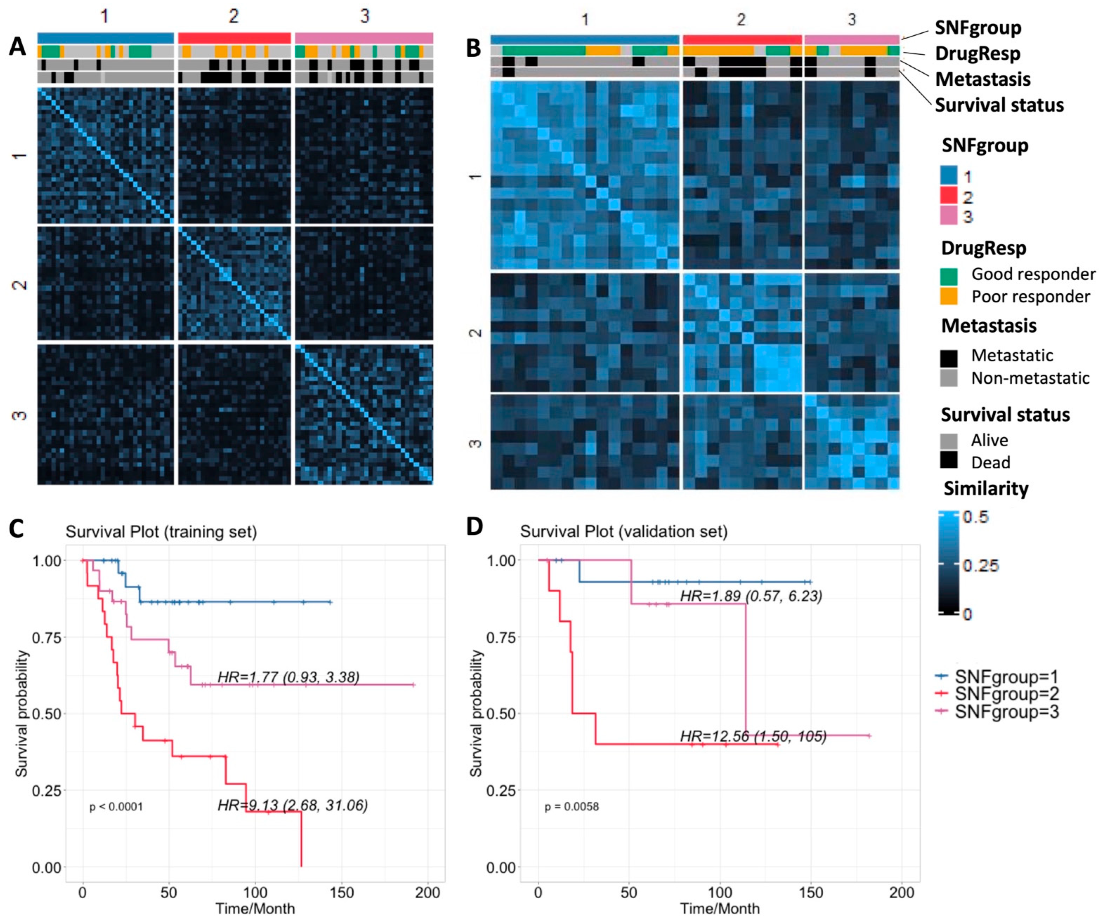 Cancers 15 04970 g001