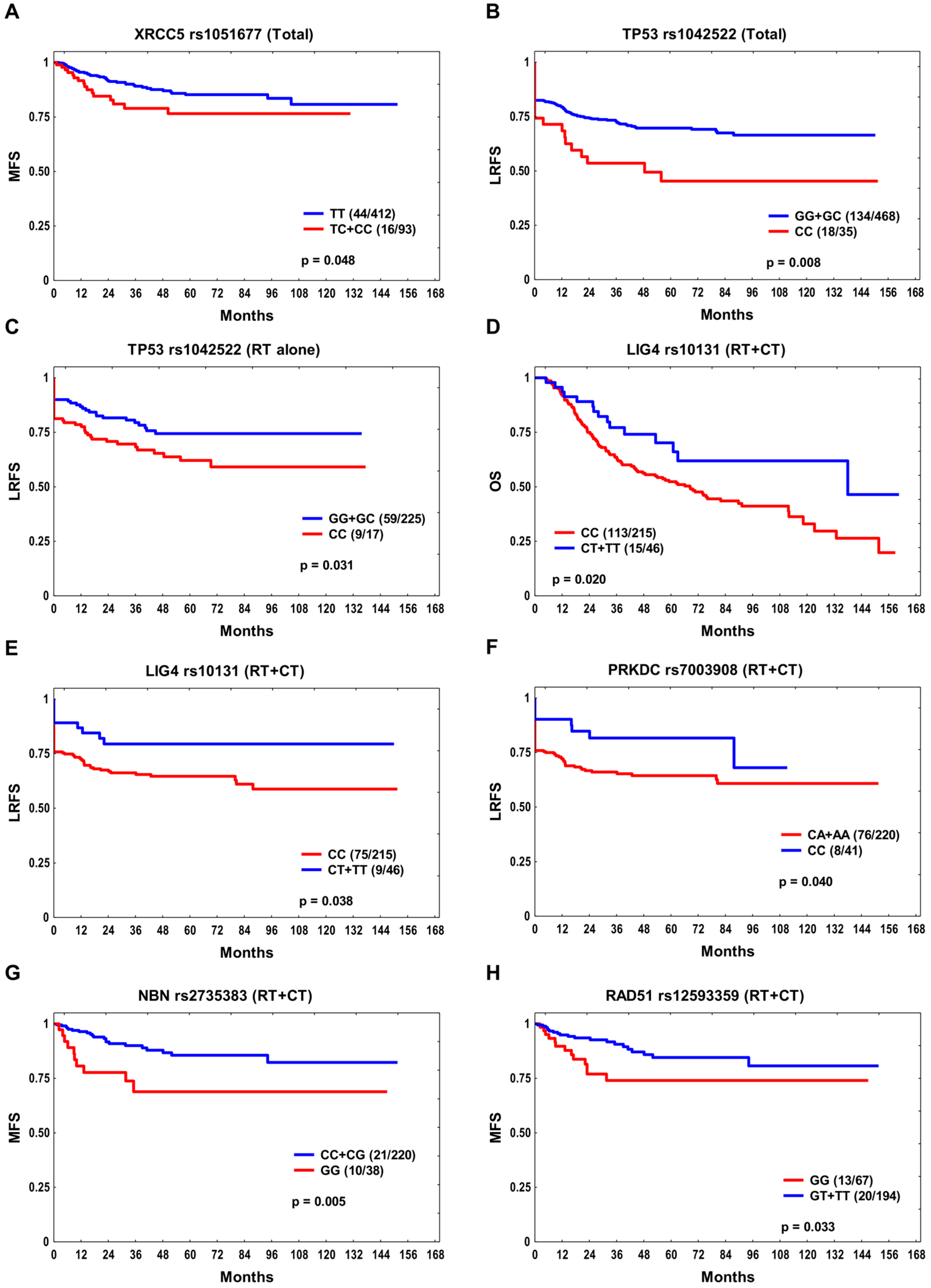 Cancers 15 04972 g001
