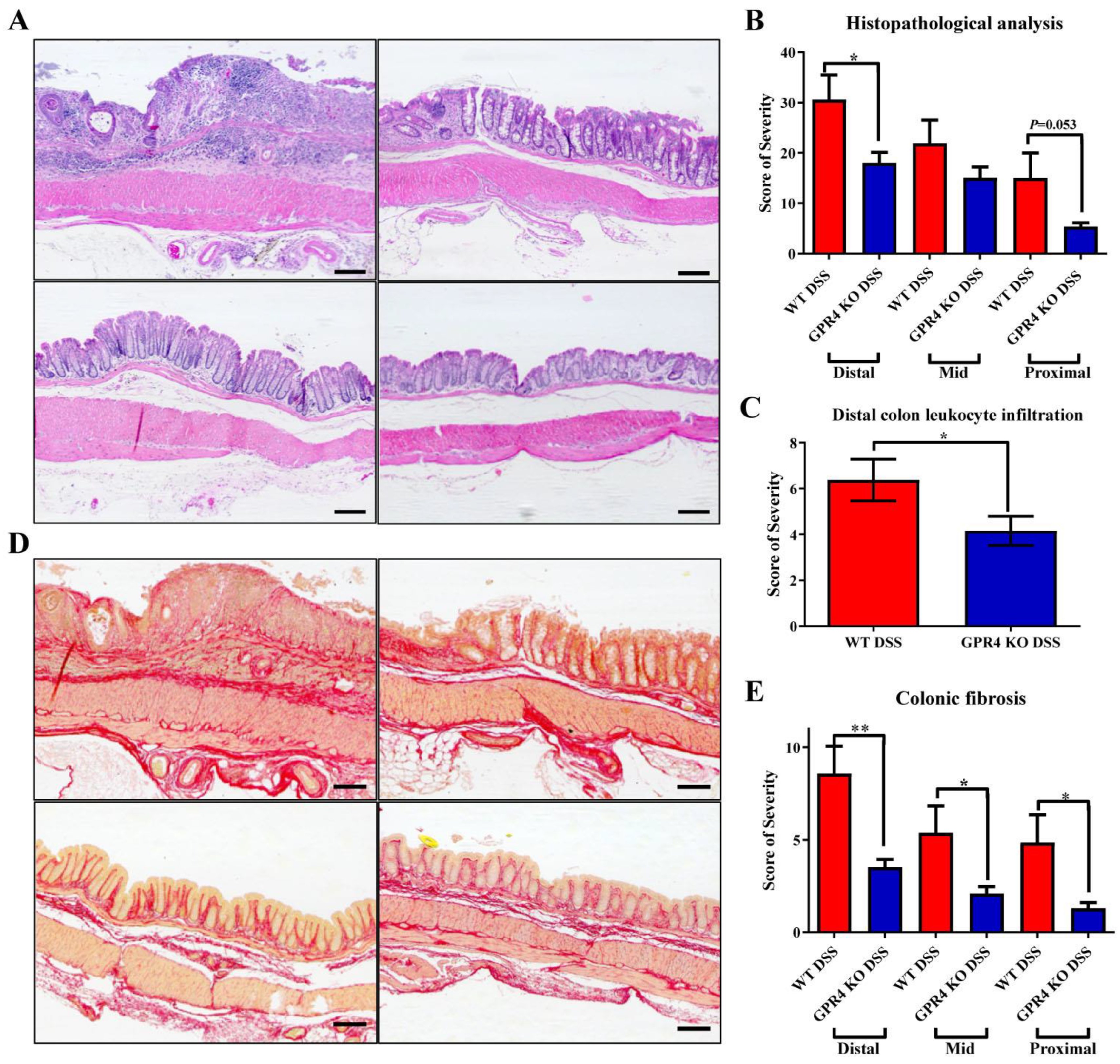 Cancers 15 04974 g002
