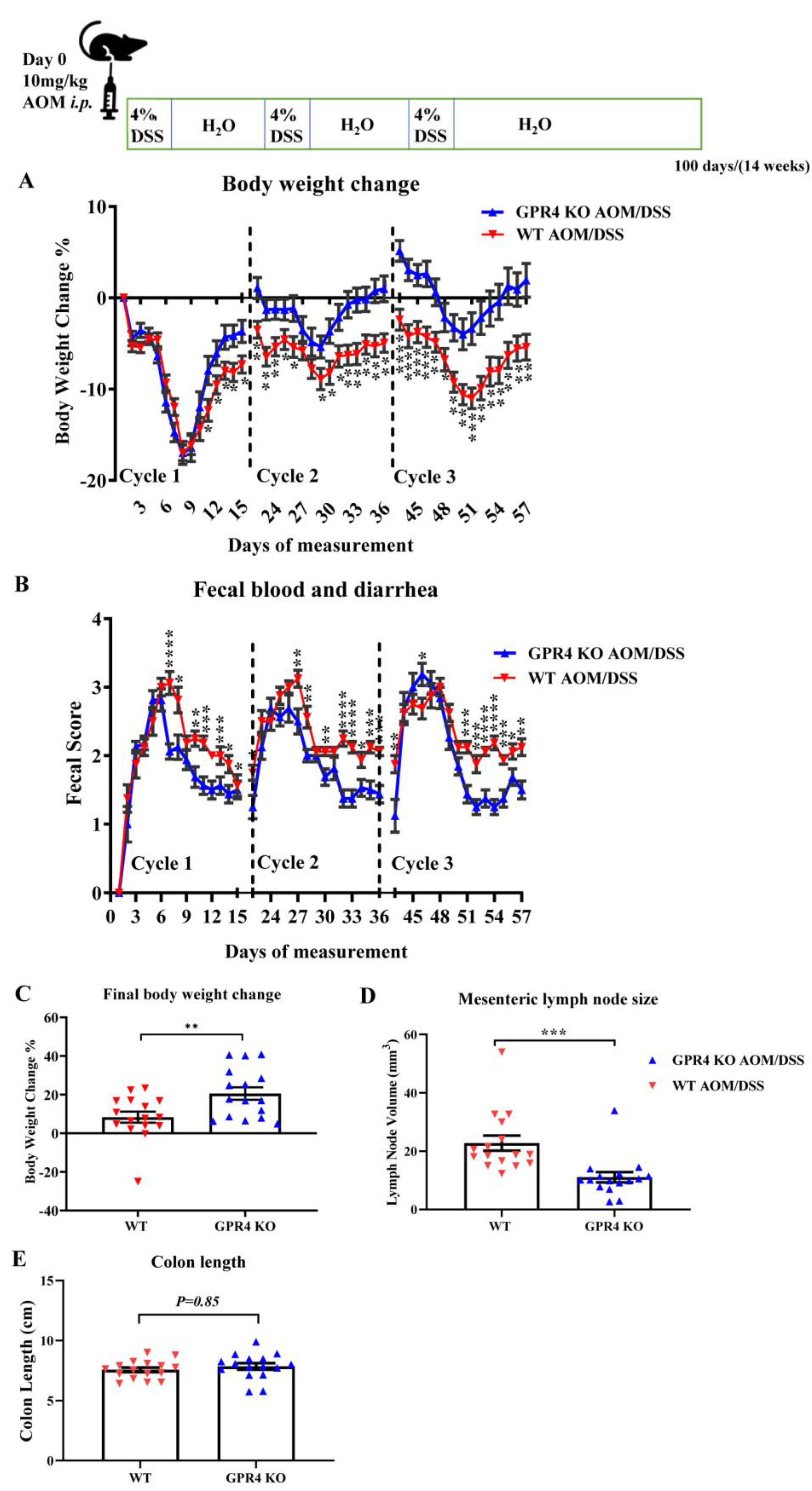 Cancers 15 04974 g004