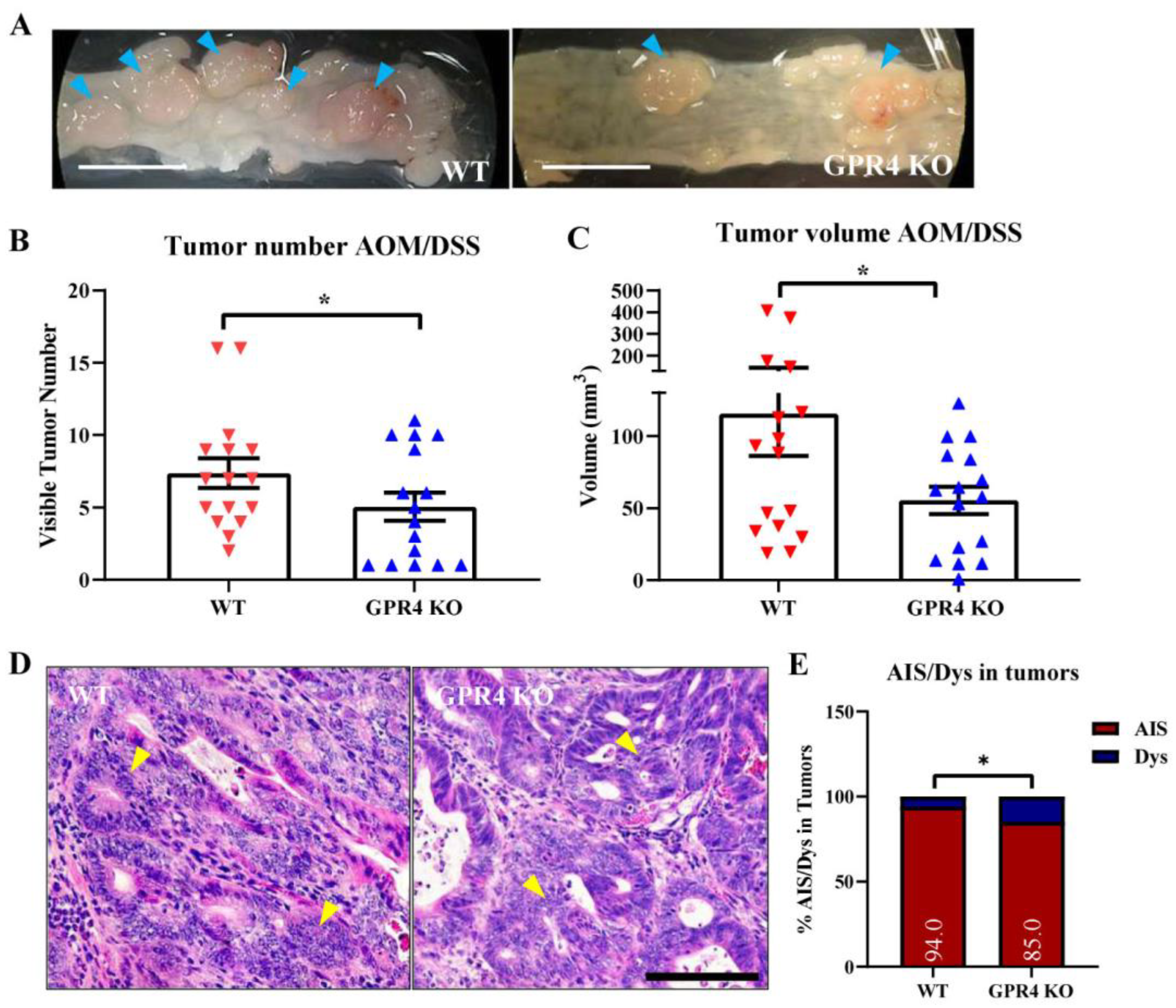 Cancers 15 04974 g005