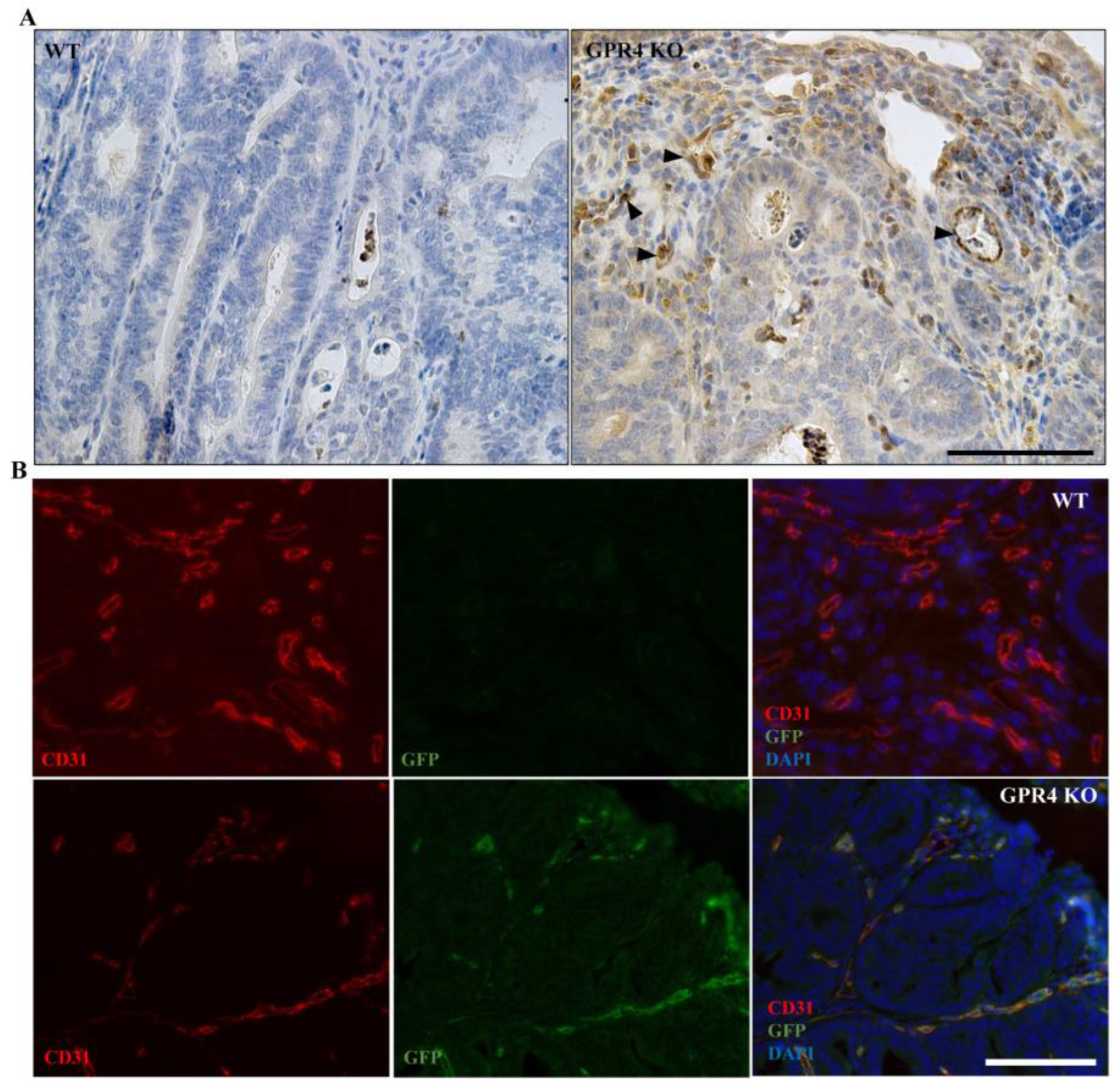 Cancers 15 04974 g007