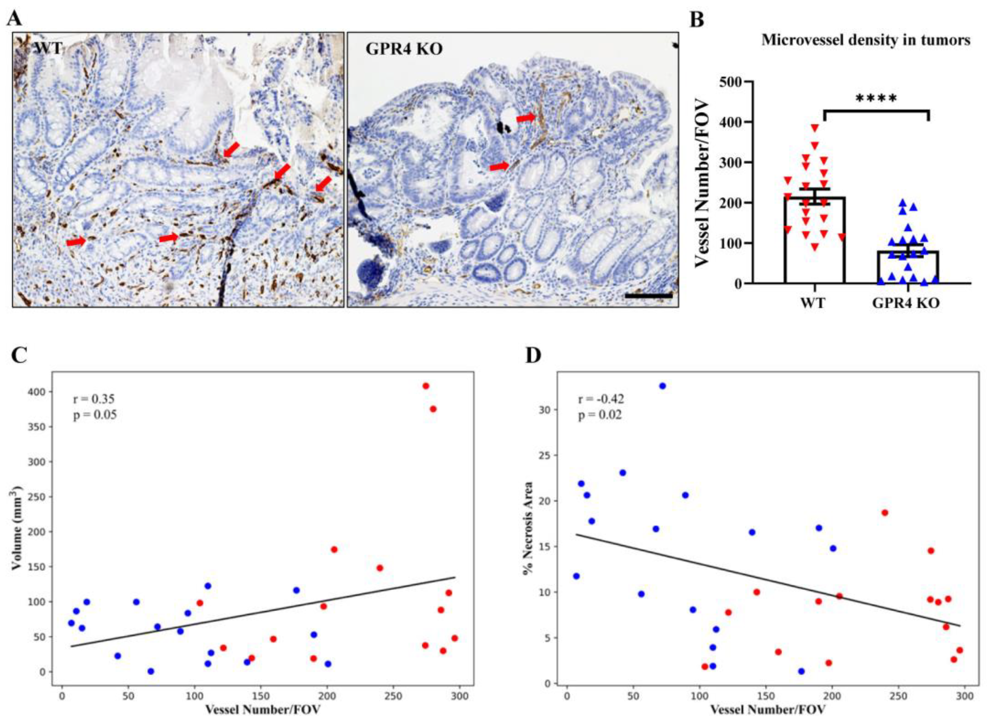 Cancers 15 04974 g008