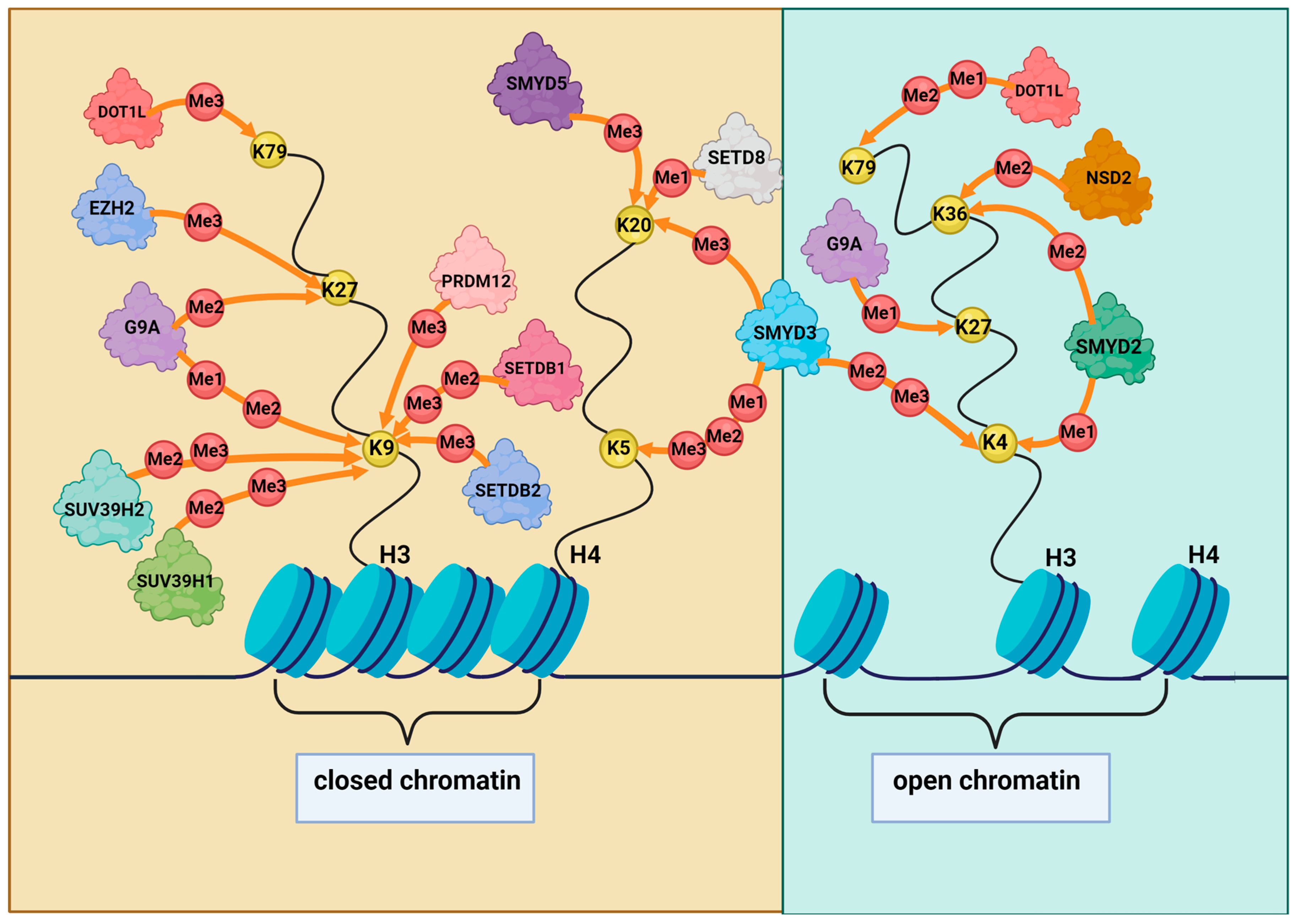 Cancers 15 04976 g001