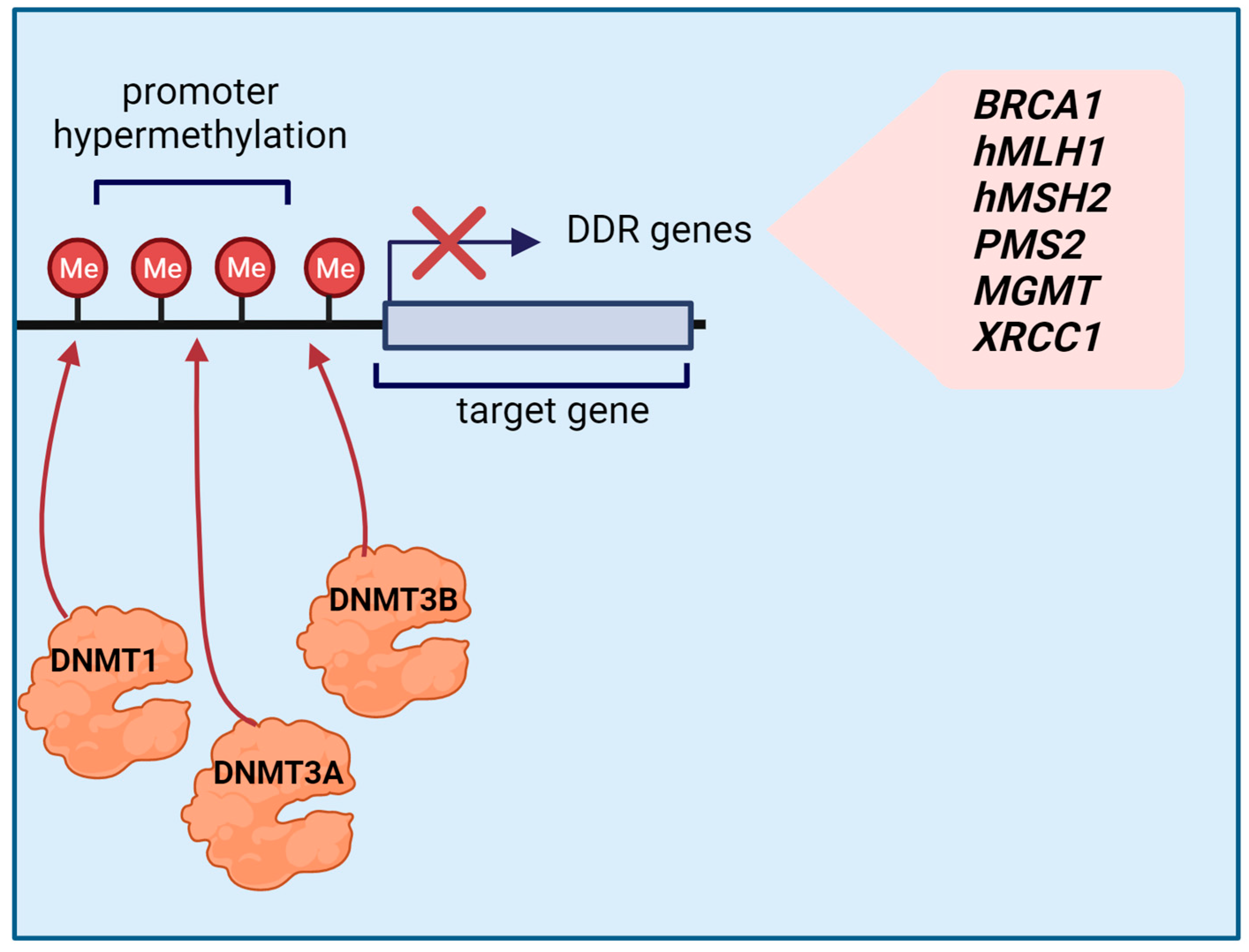 Cancers 15 04976 g002
