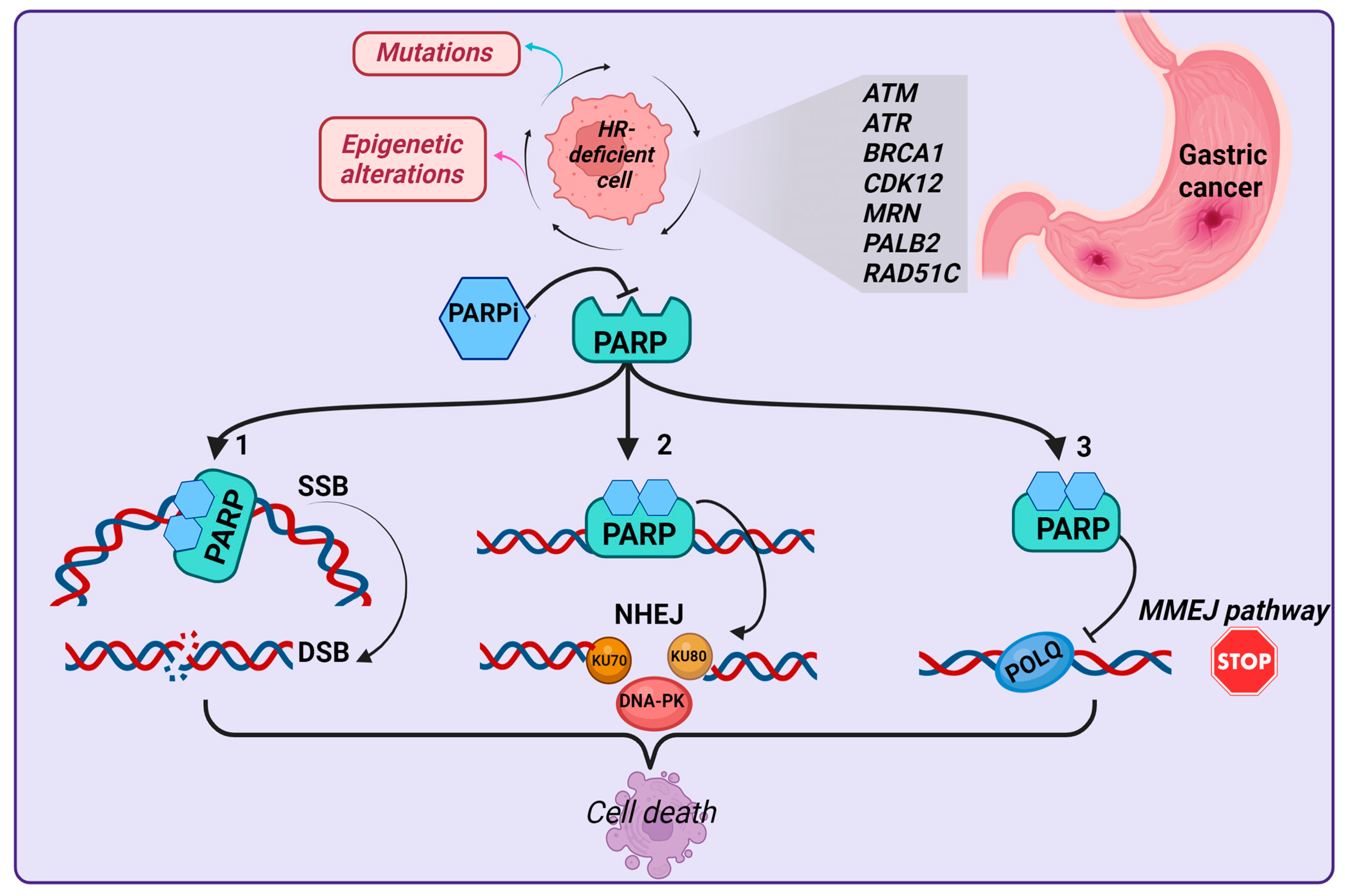 Cancers 15 04976 g003