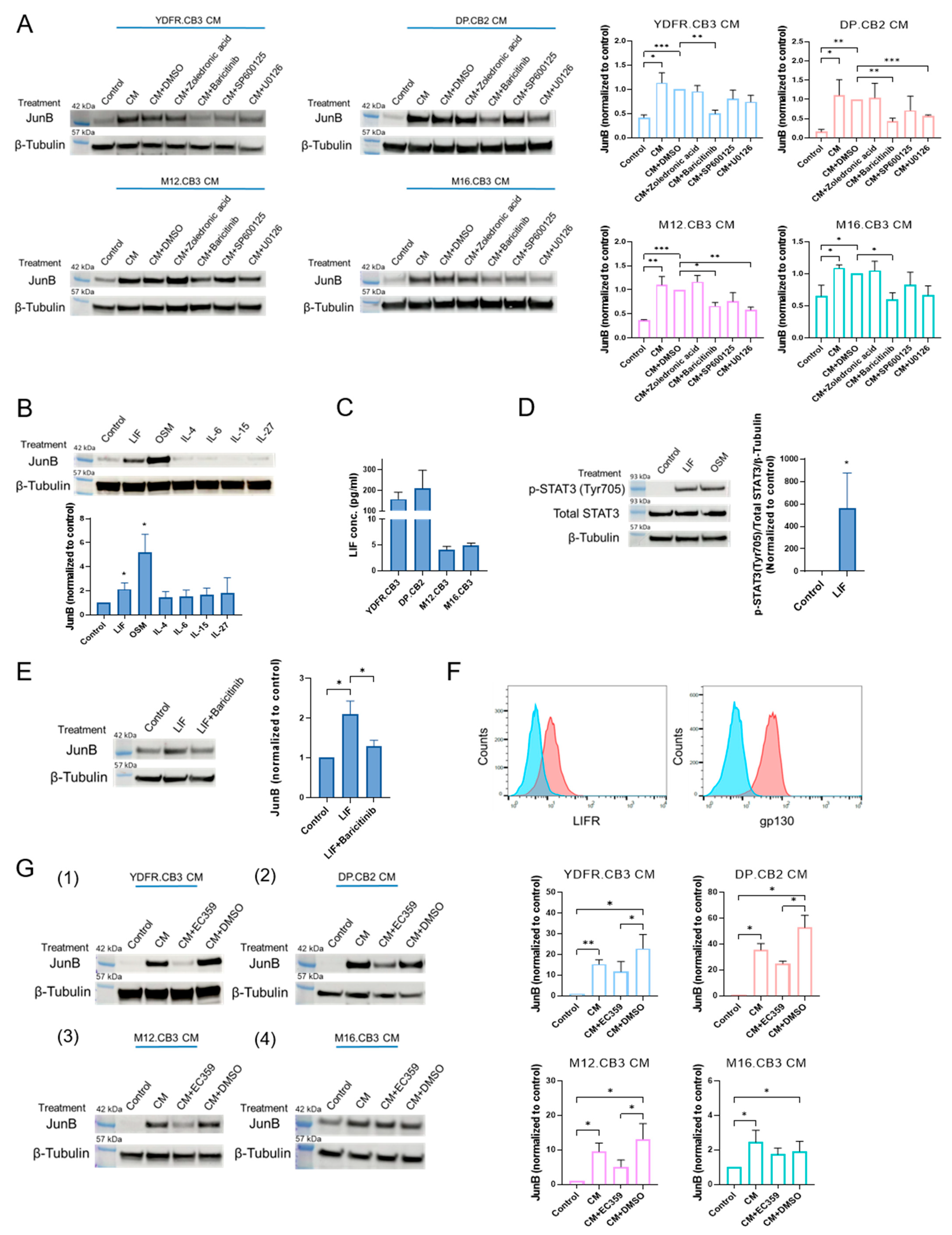 Cancers 15 04979 g002