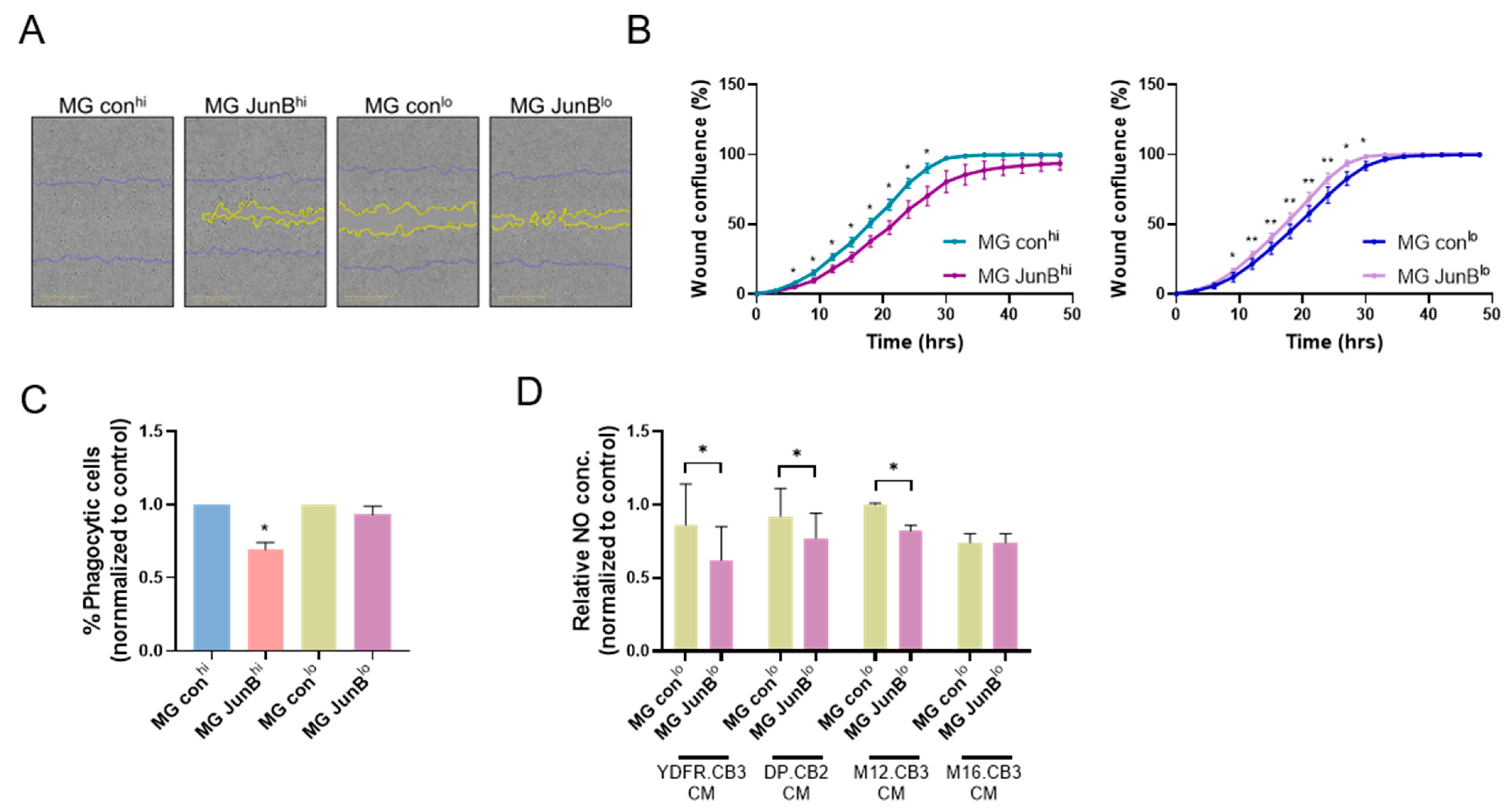 Cancers 15 04979 g004