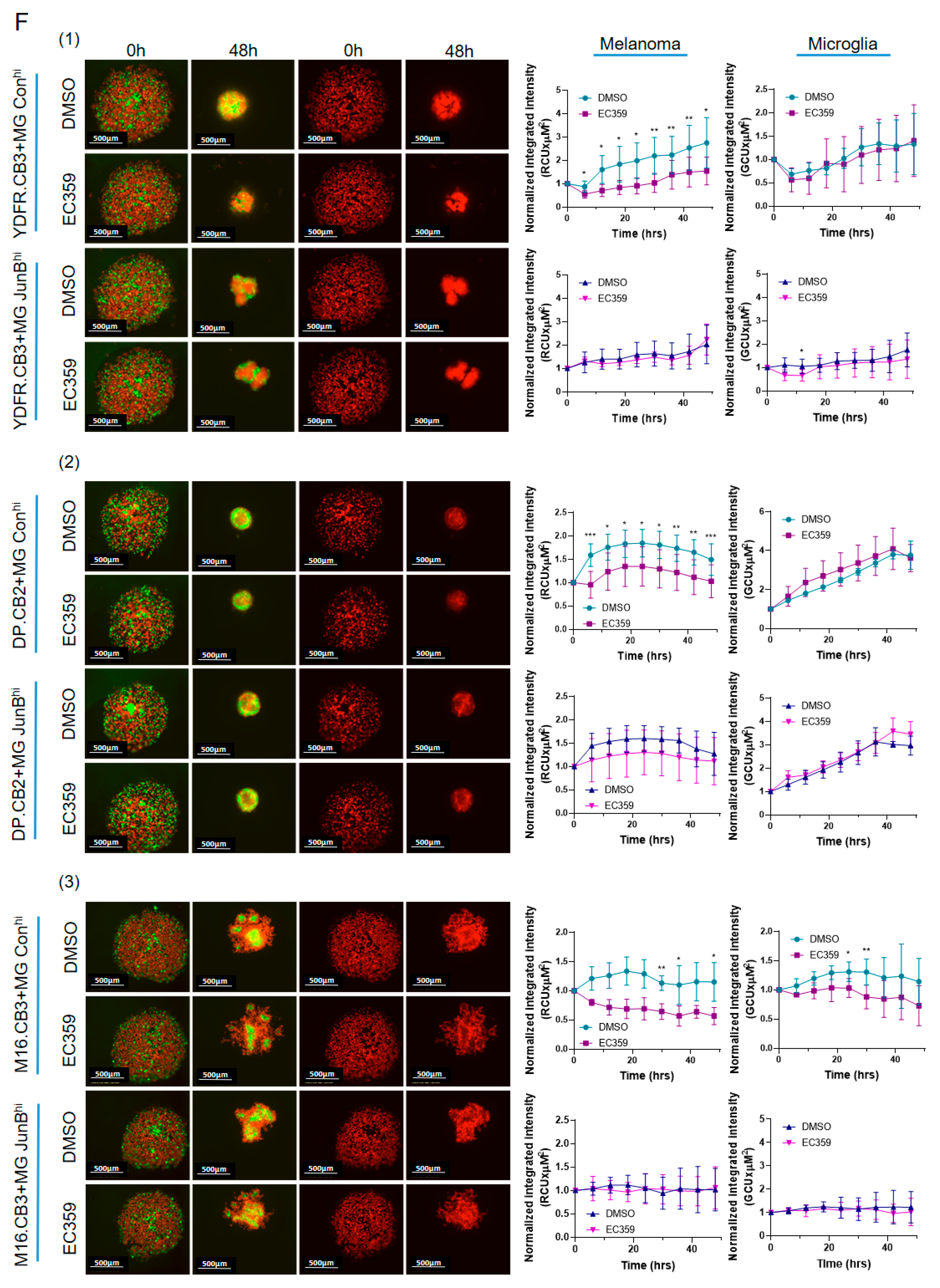 Cancers 15 04979 g005b