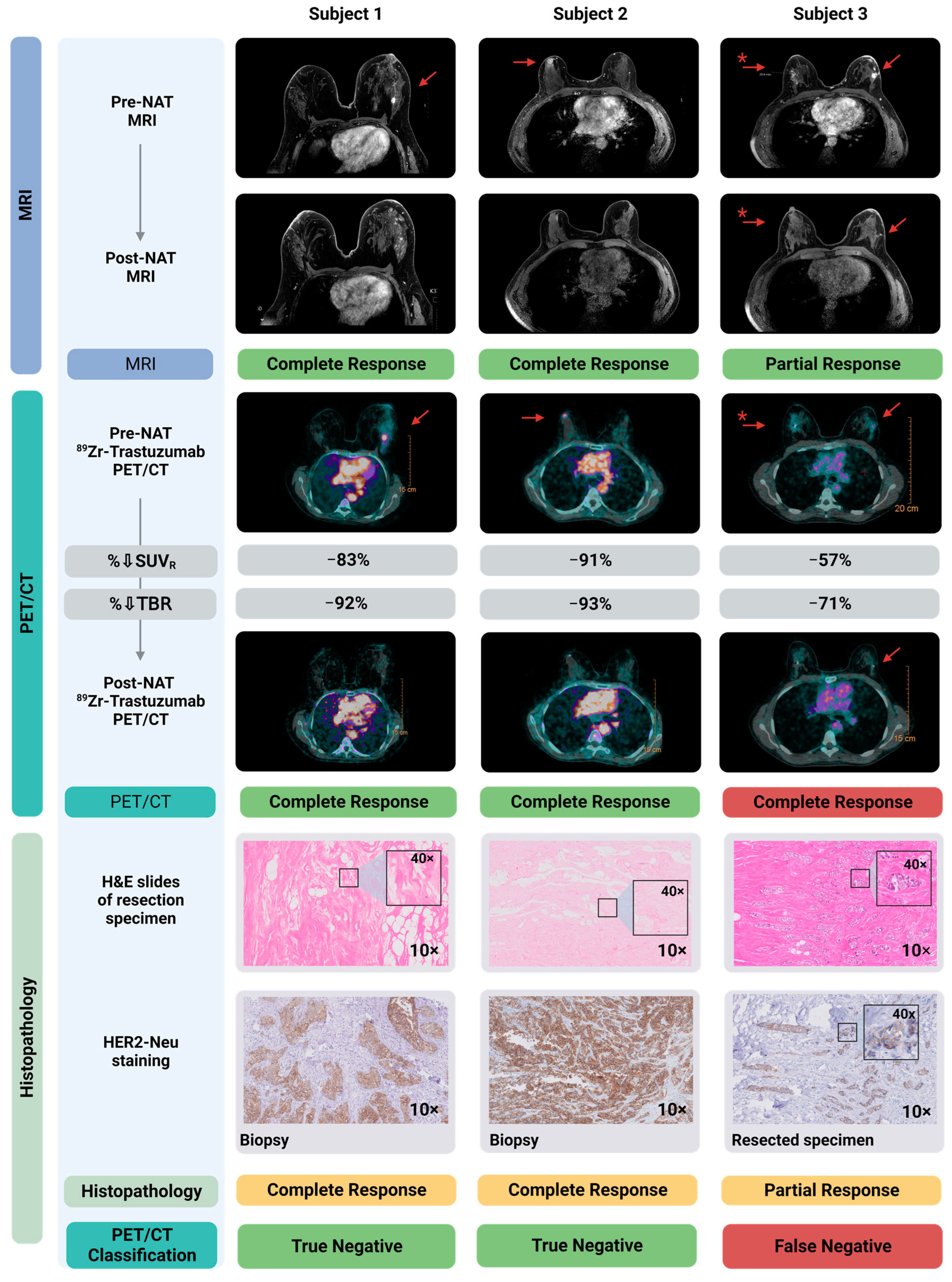 Cancers 15 04980 g001