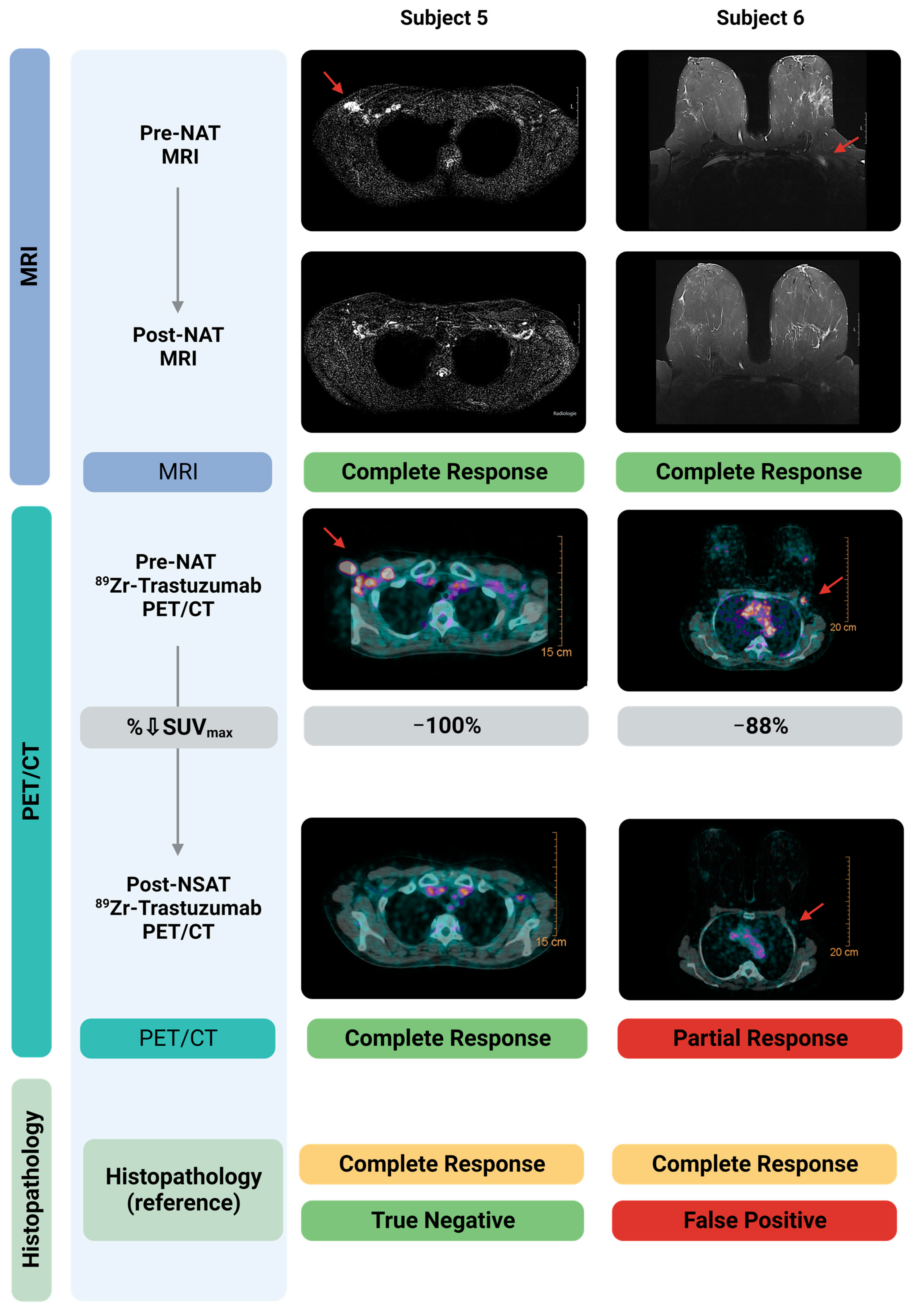 Cancers 15 04980 g002