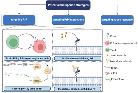 Cancers 15 04982 g004