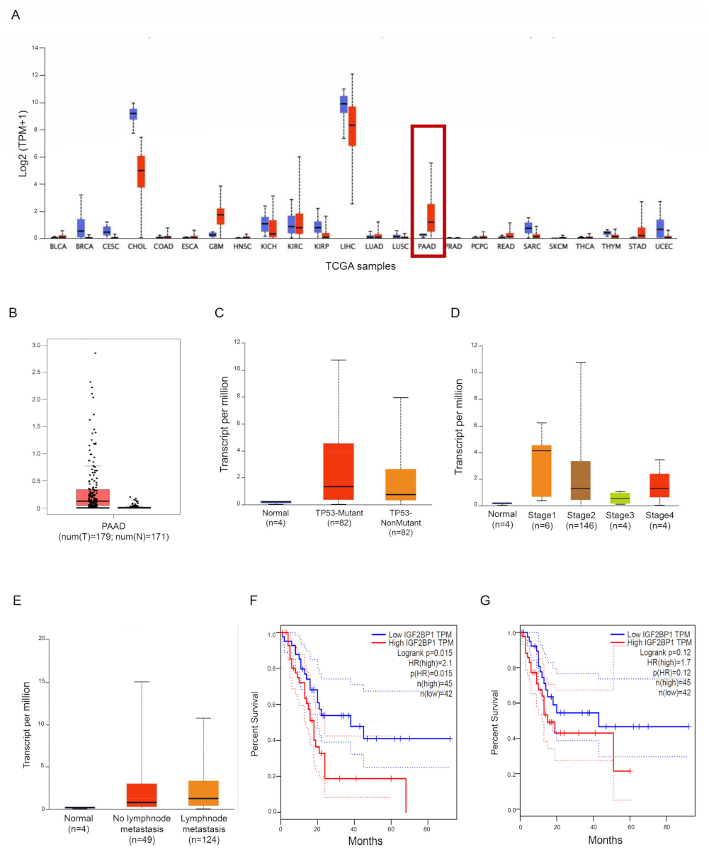 Cancers 15 04983 g001