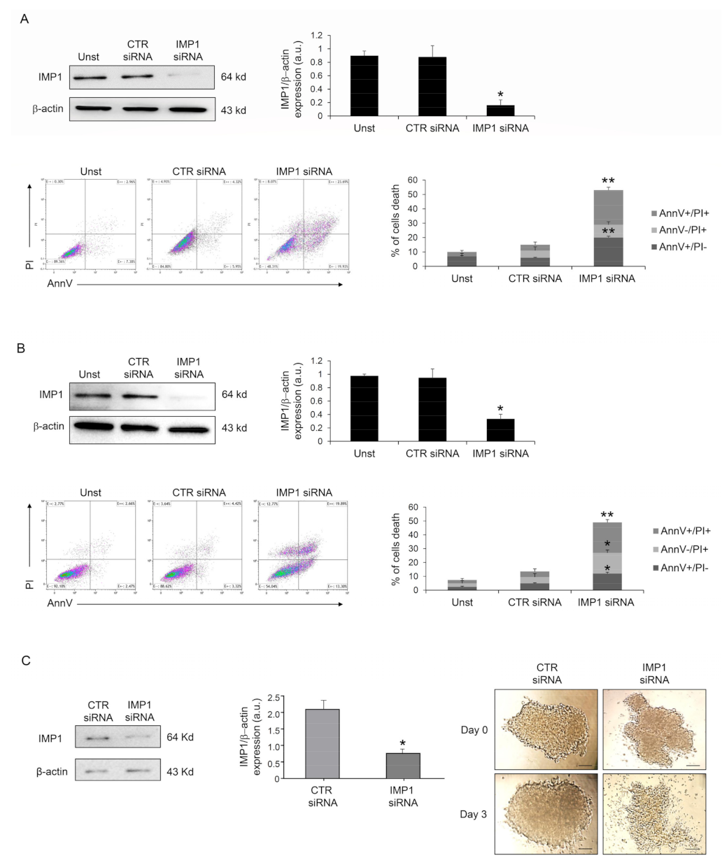 Cancers 15 04983 g002
