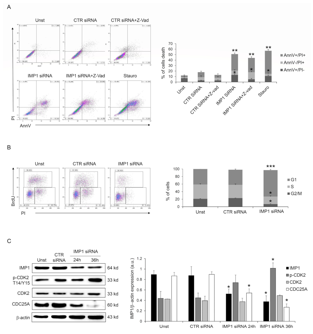 Cancers 15 04983 g003