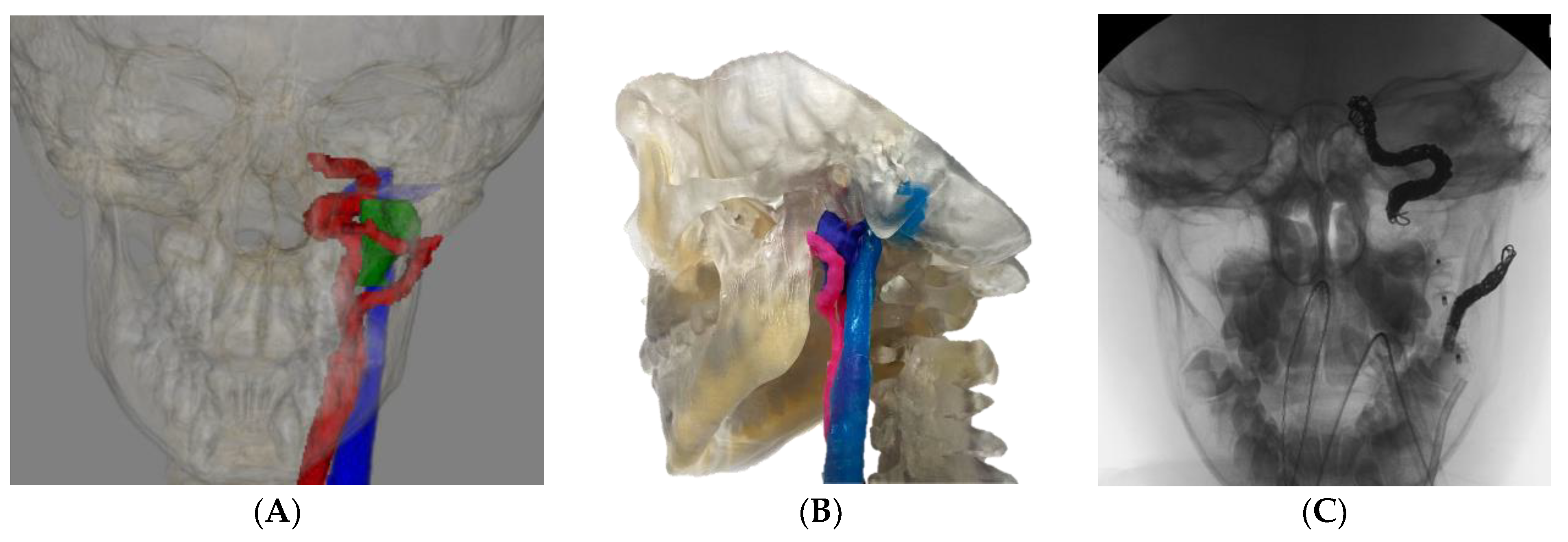 Cancers 15 04989 g002