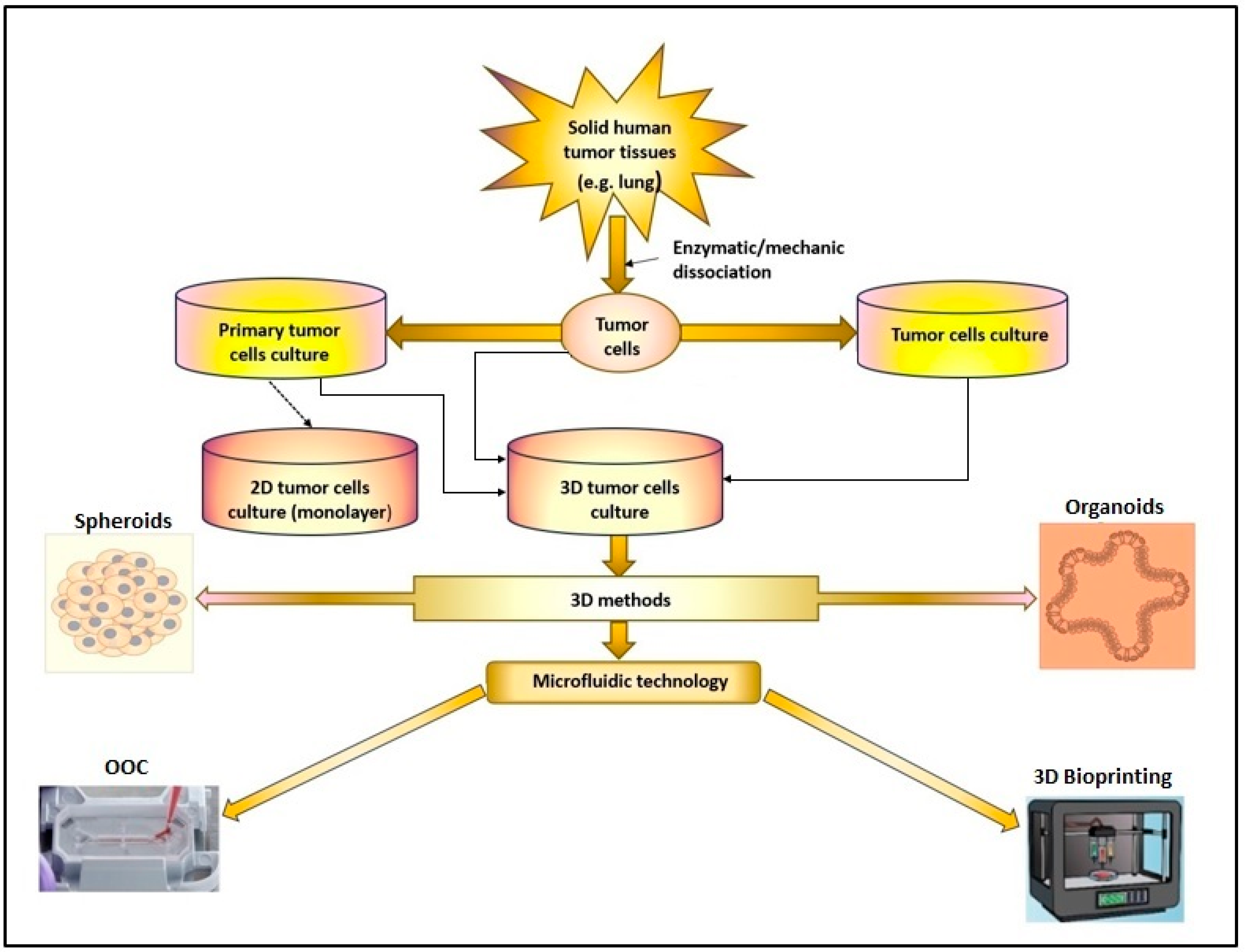 Cancers 15 04996 g001