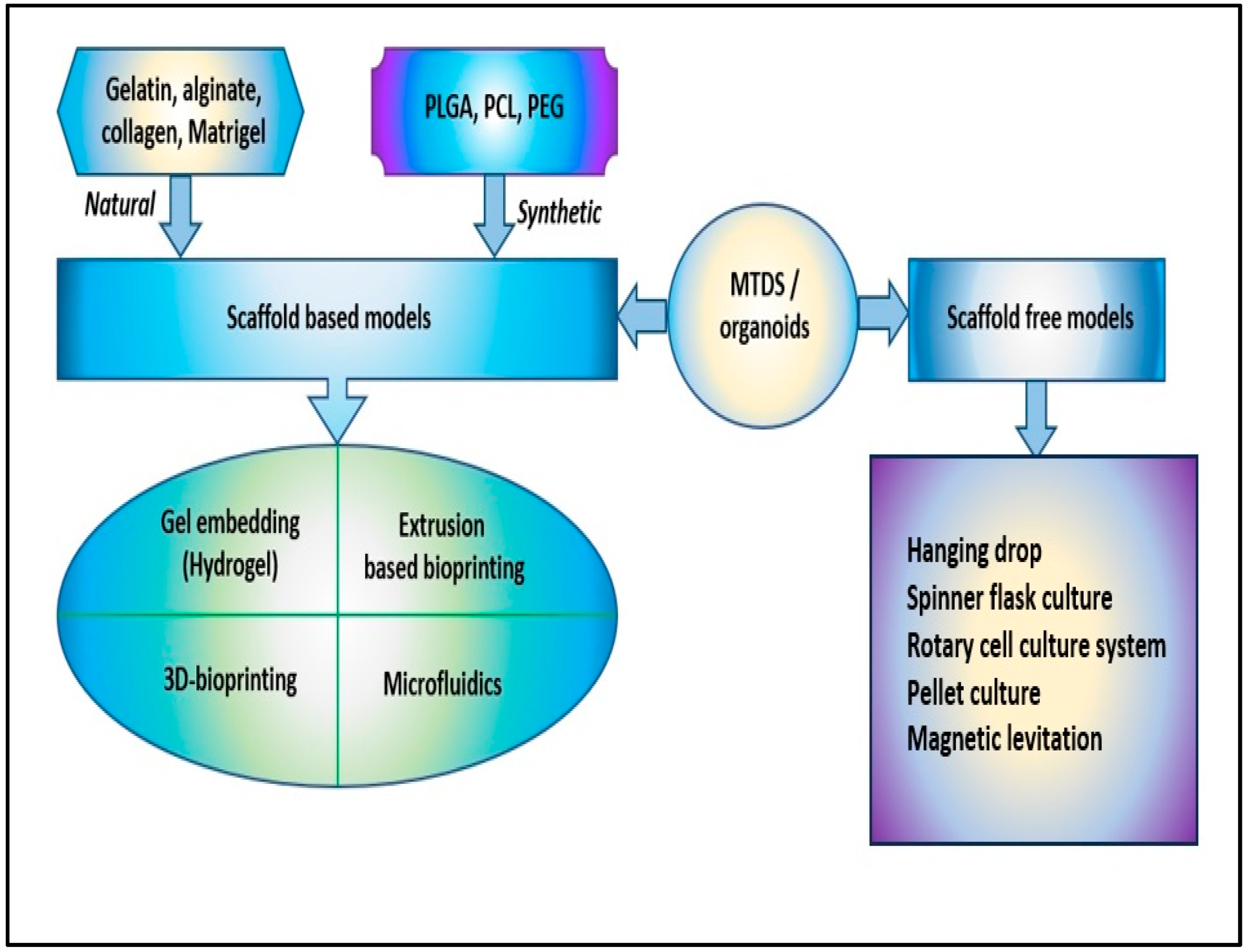 Cancers 15 04996 g002