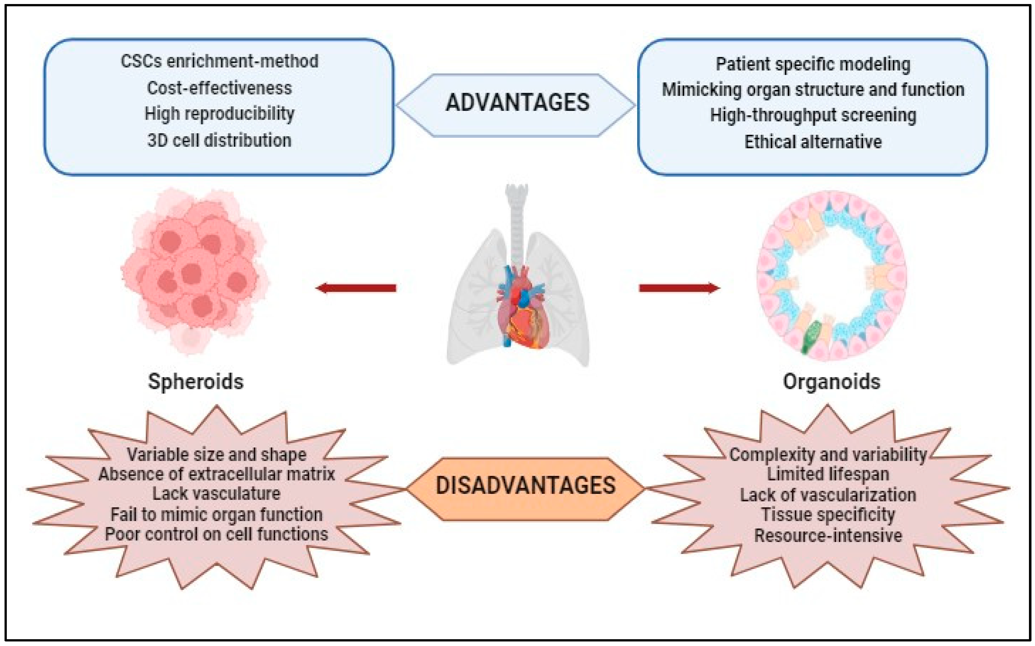 Cancers 15 04996 g003
