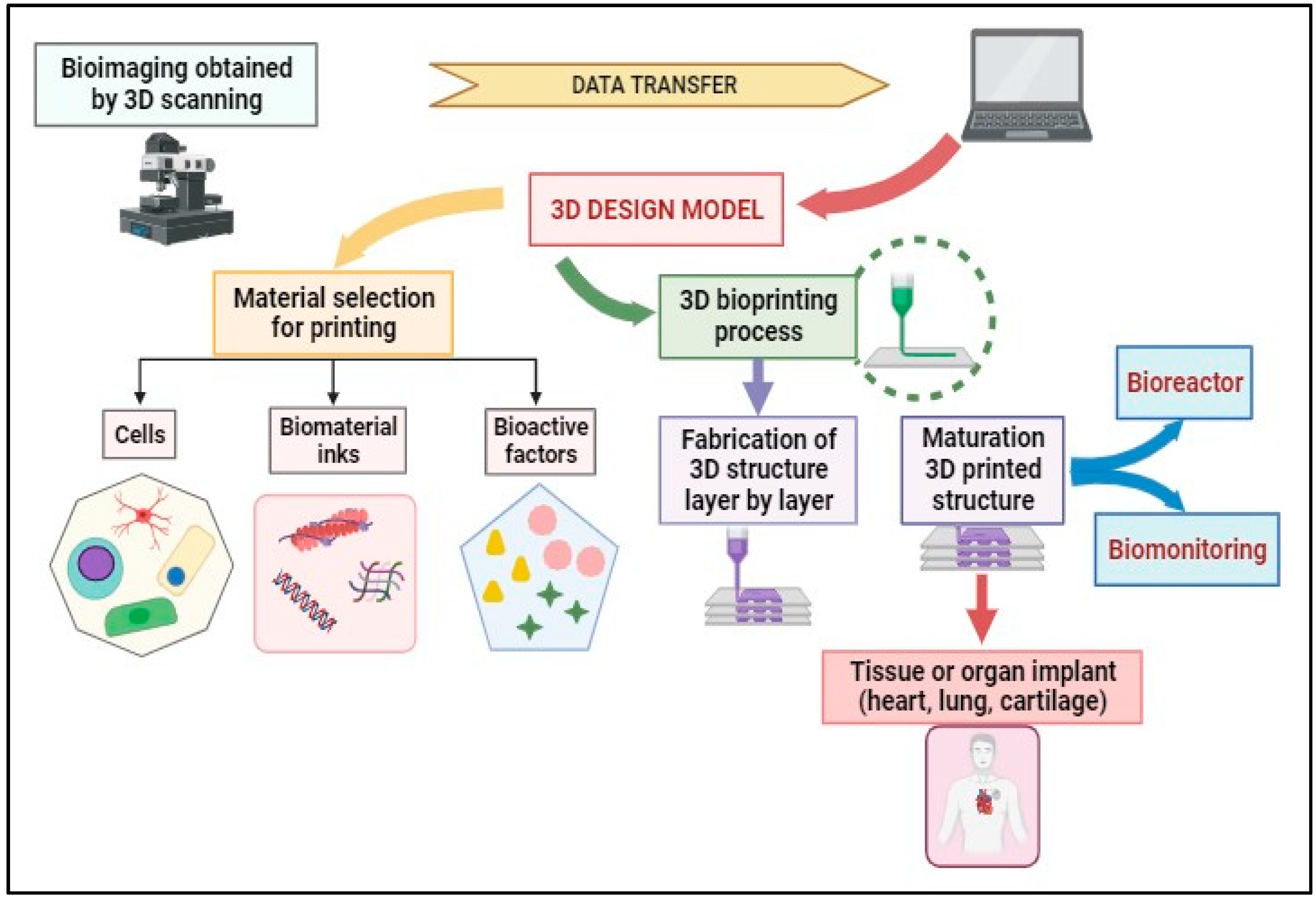 Cancers 15 04996 g004