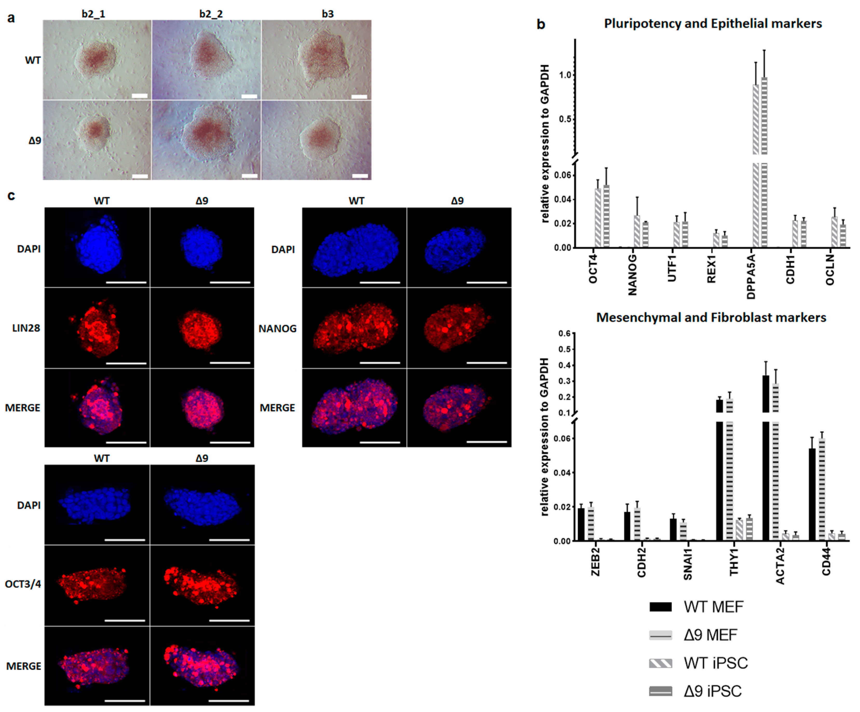 Cancers 15 04997 g002