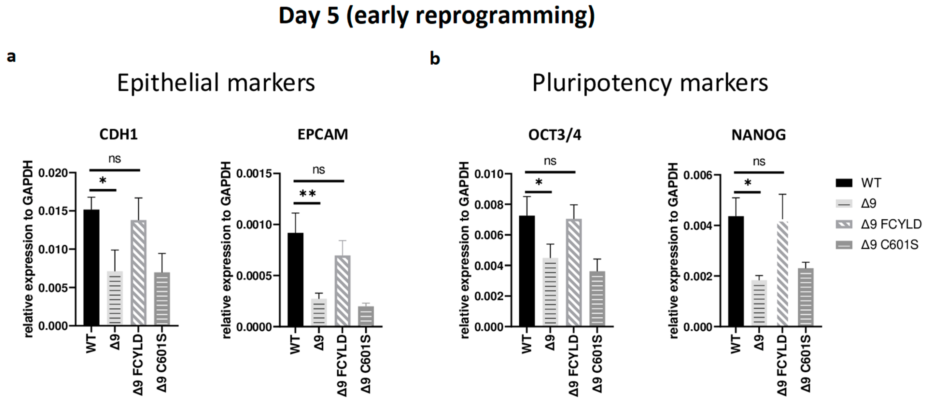 Cancers 15 04997 g003