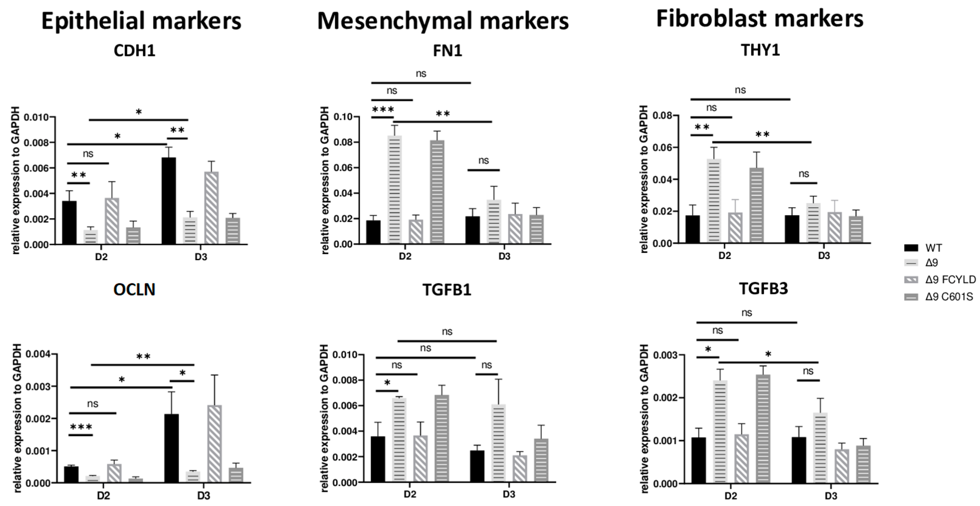 Cancers 15 04997 g004