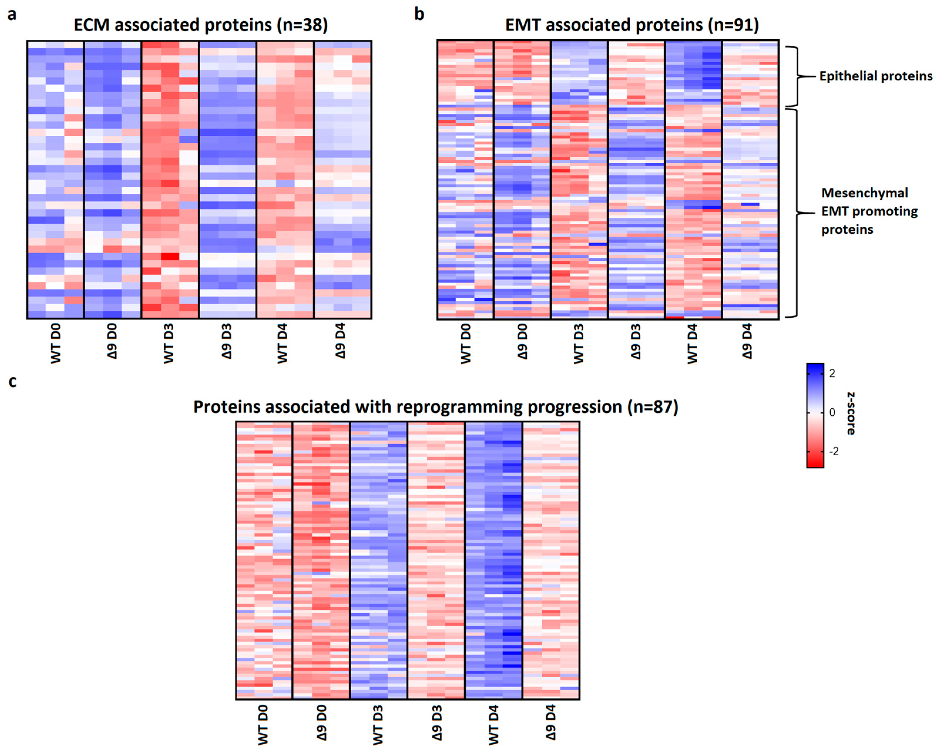 Cancers 15 04997 g007