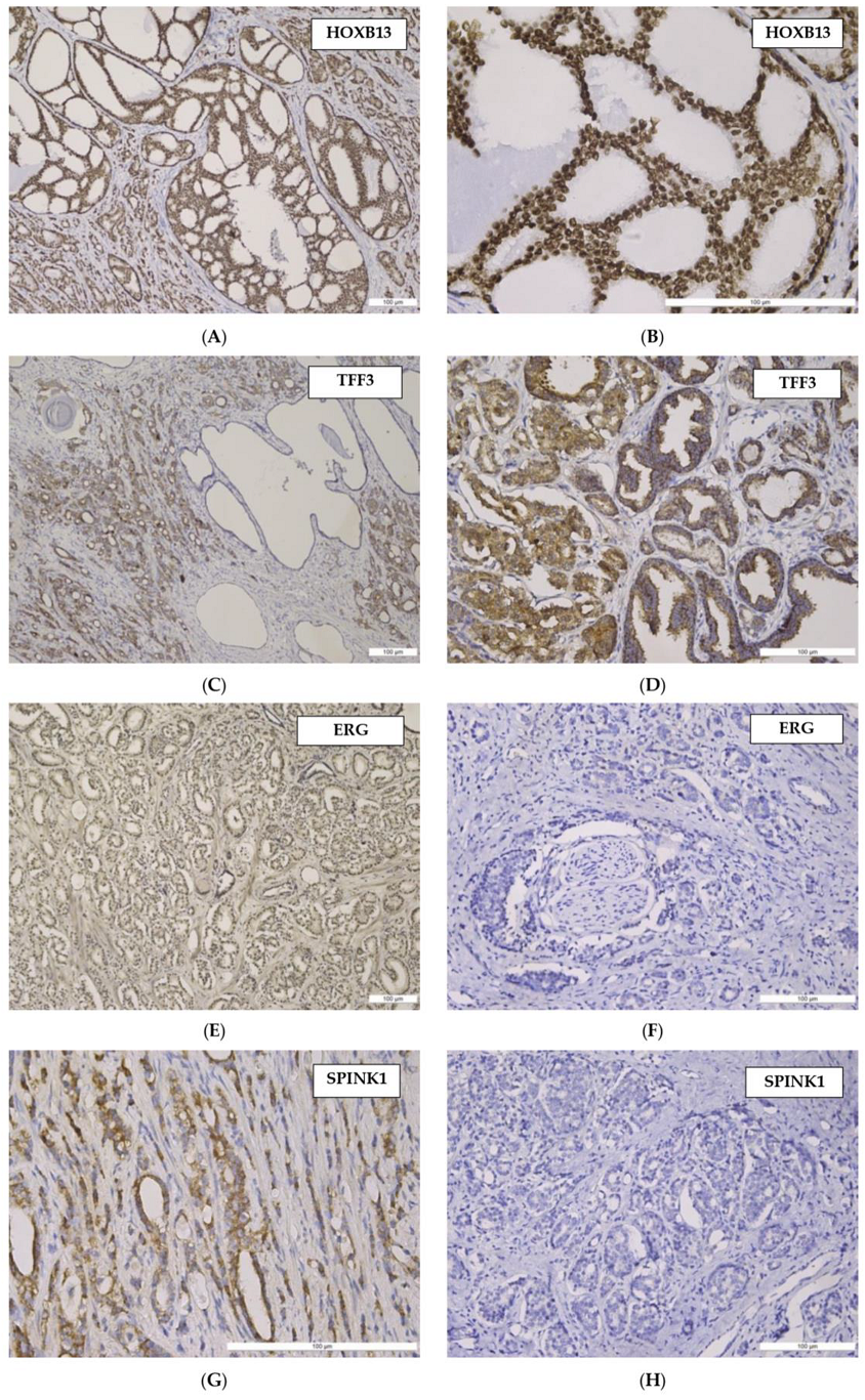 Cancers 15 05013 g003