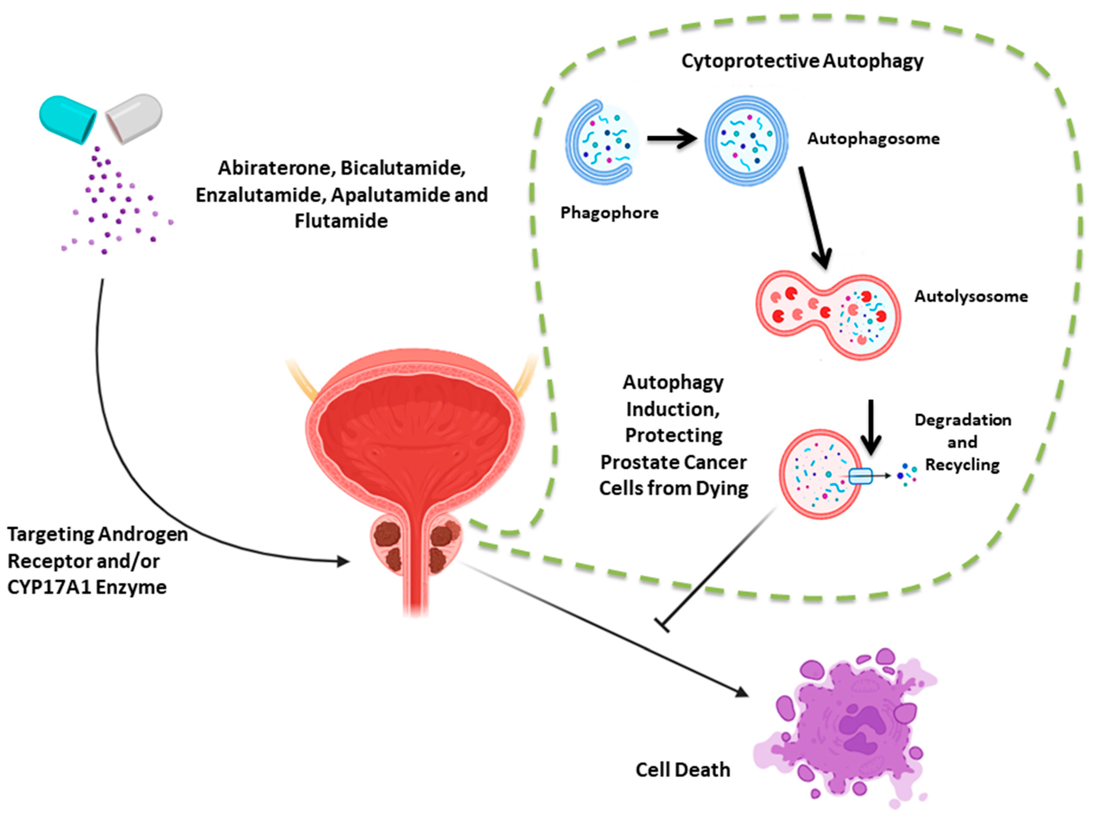 Cancers 15 05029 g001
