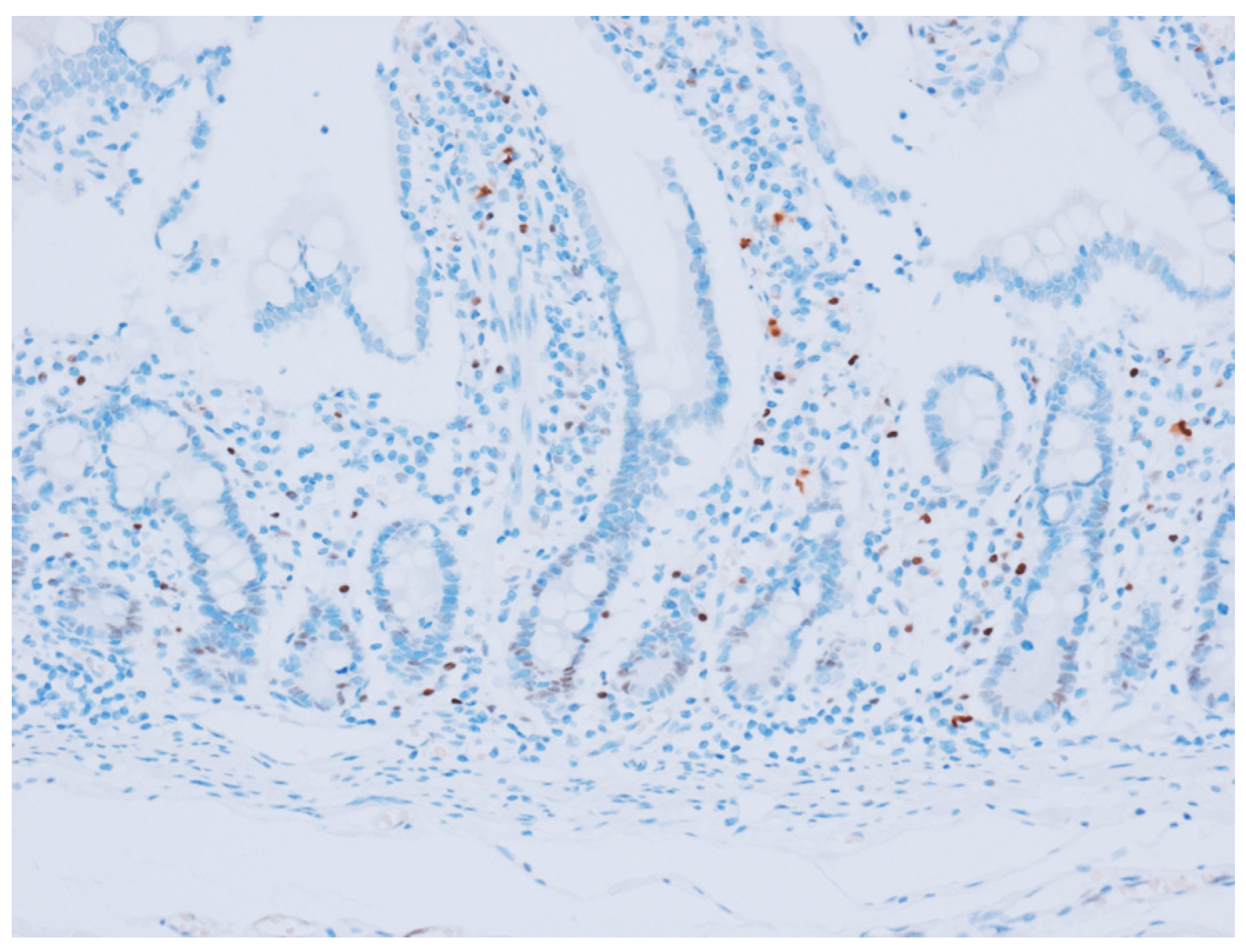 Cancers 15 05032 g001