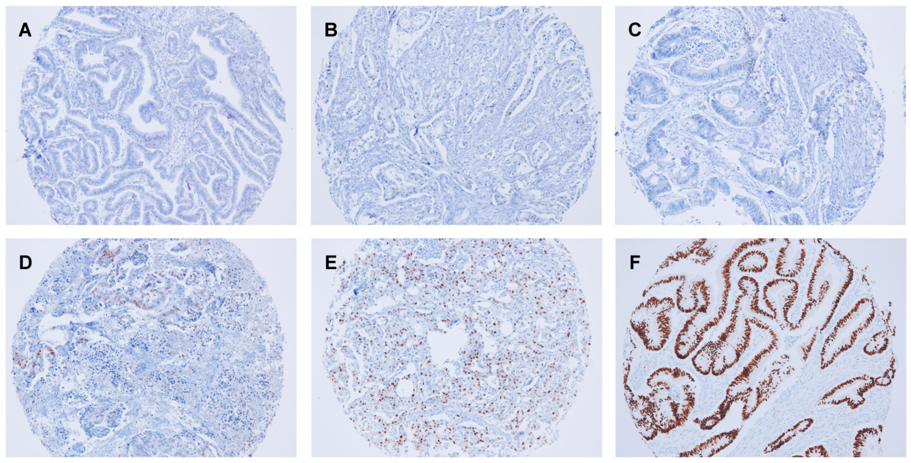 Cancers 15 05032 g002