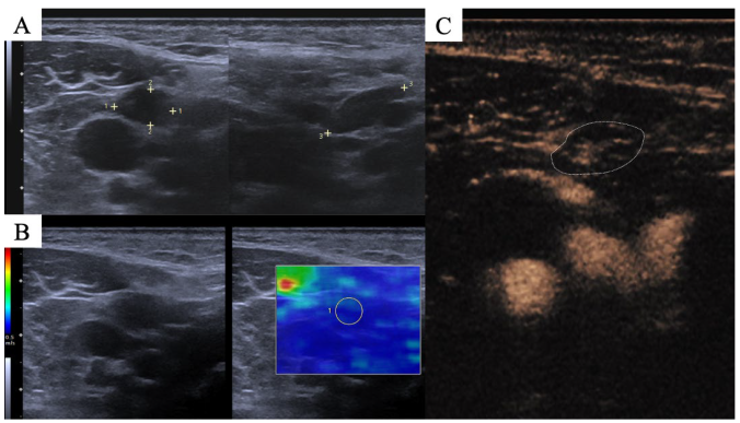 Cancers 15 05035 g001