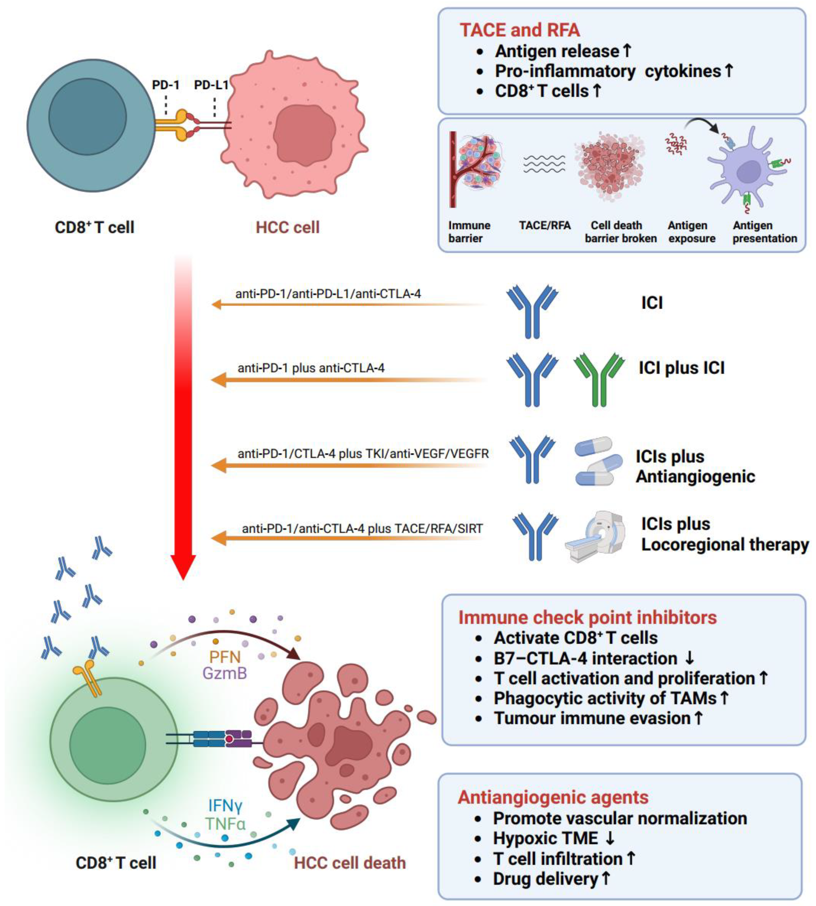 Cancers 15 05046 g004