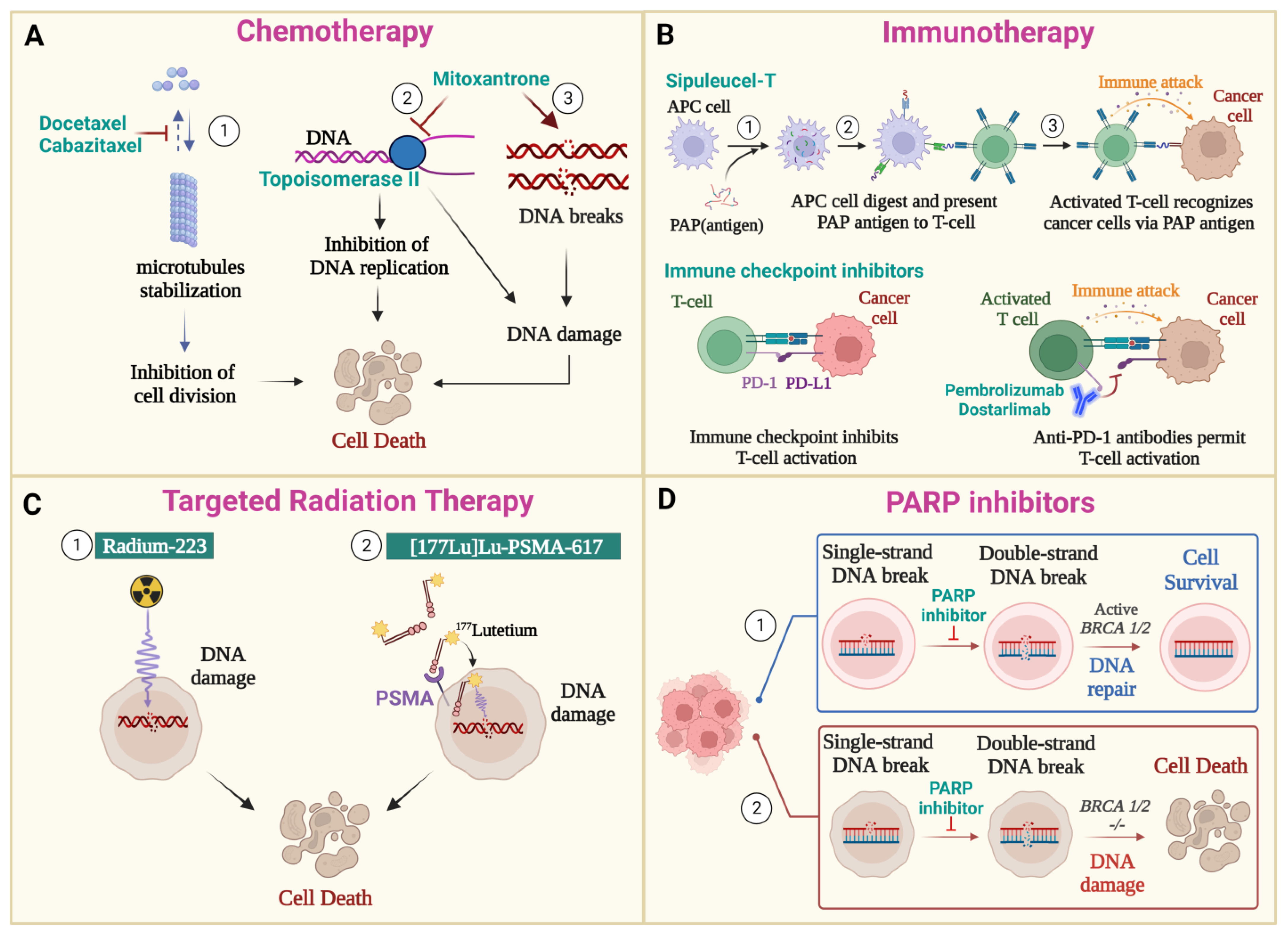 Cancers 15 05047 g002