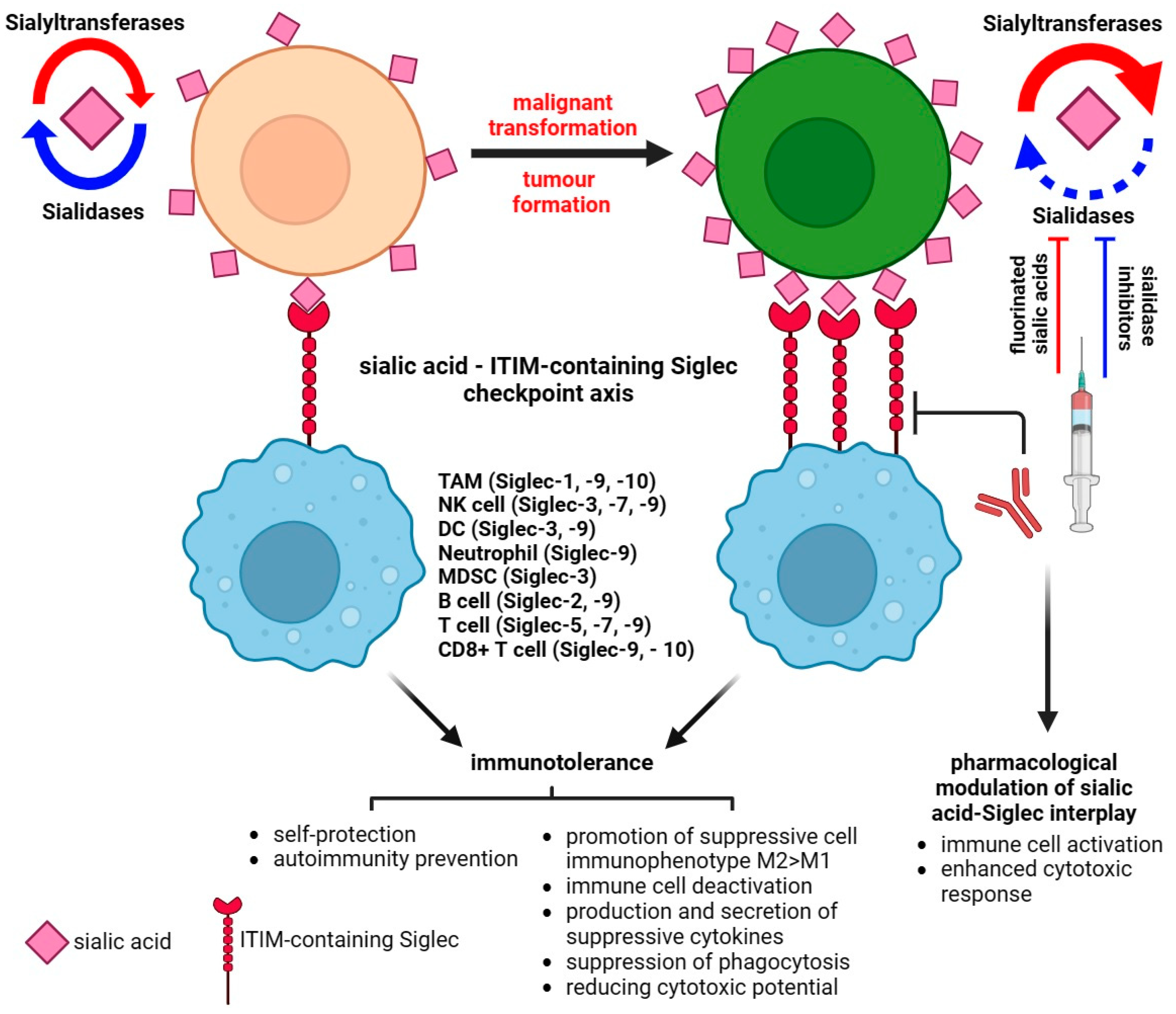 Cancers 15 05103 g003
