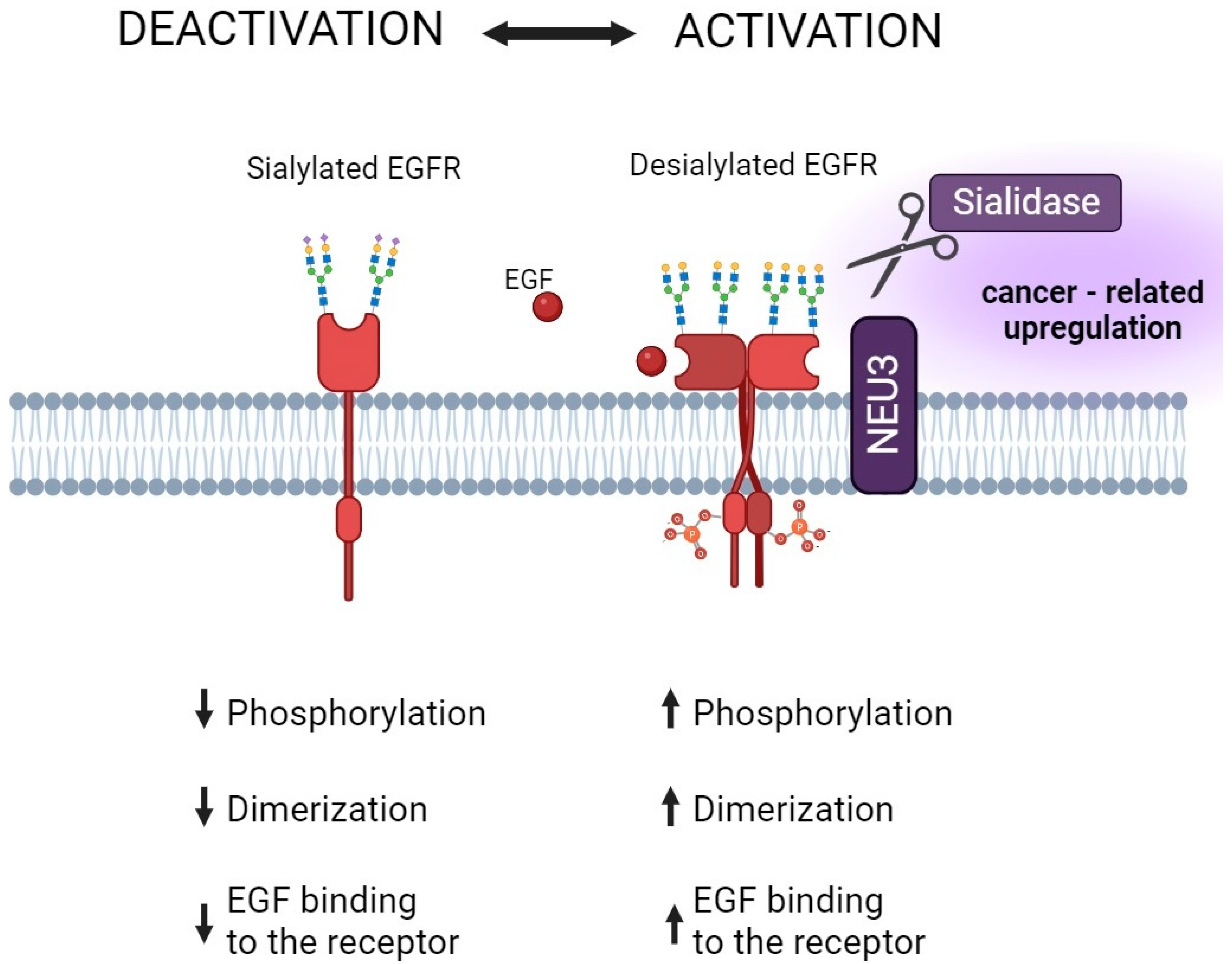 Cancers 15 05103 g004