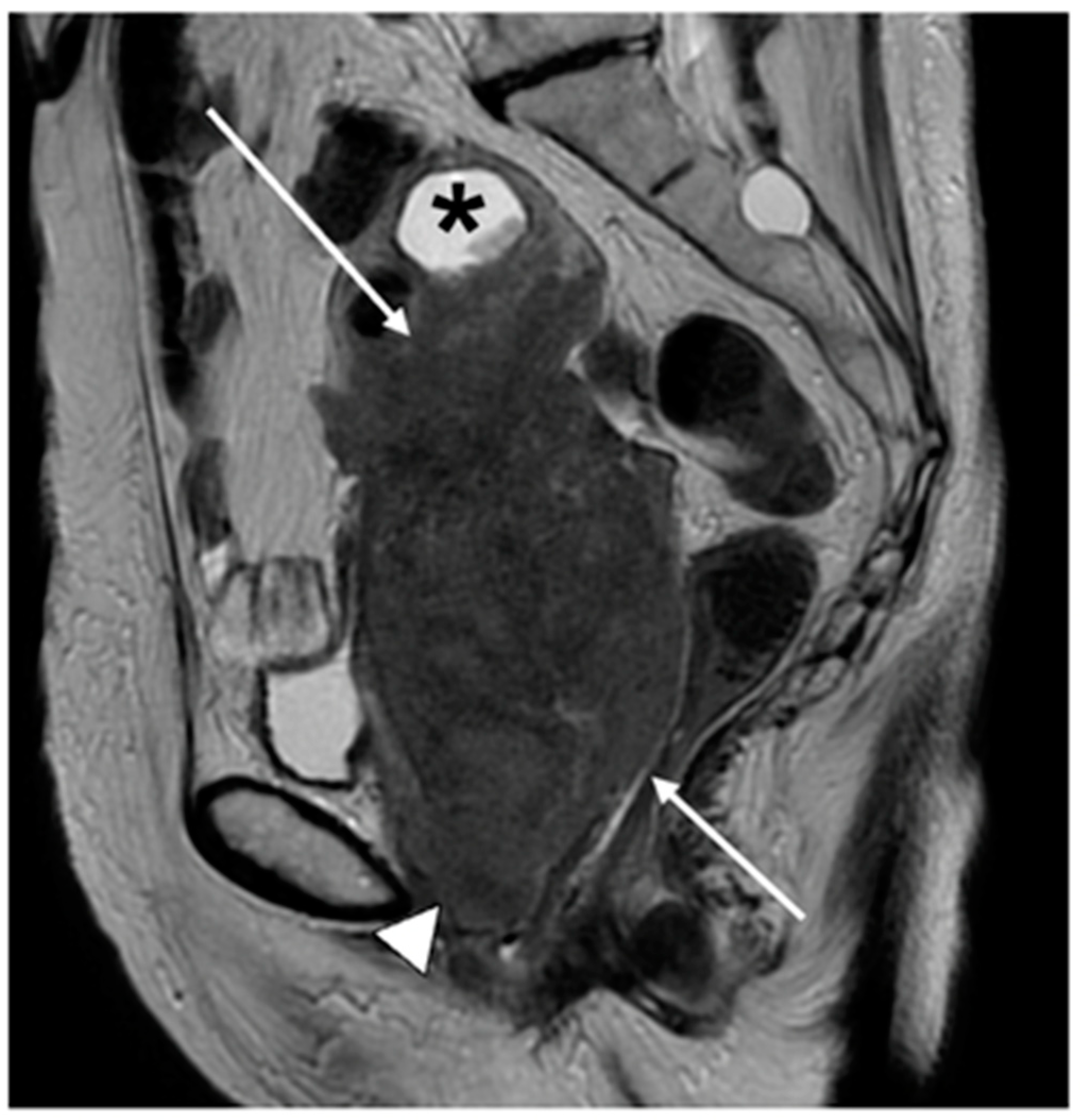 Cancers 15 05105 g007