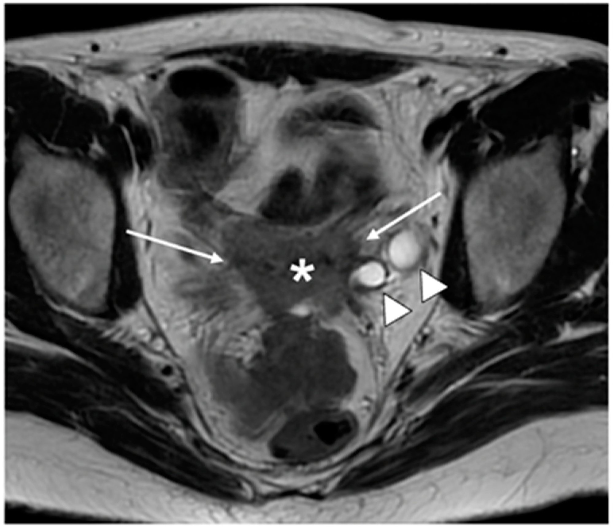 Cancers 15 05105 g008