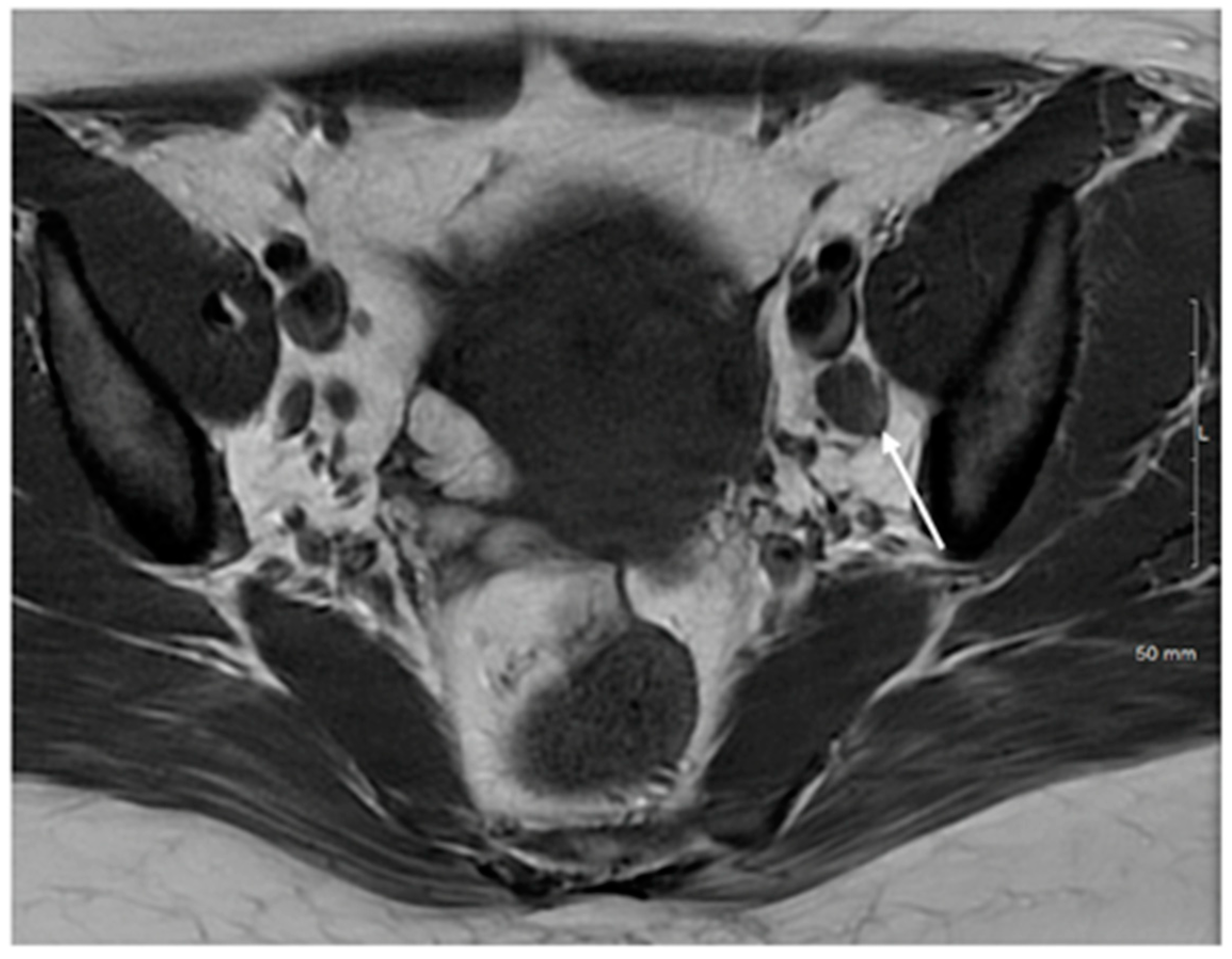 Cancers 15 05105 g009