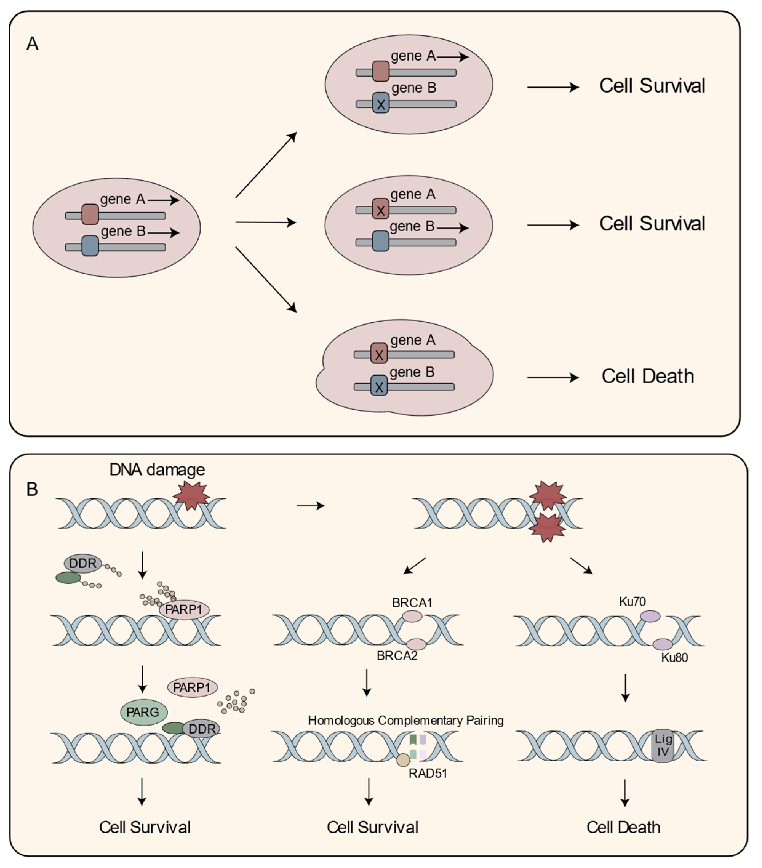 Cancers 15 05114 g002