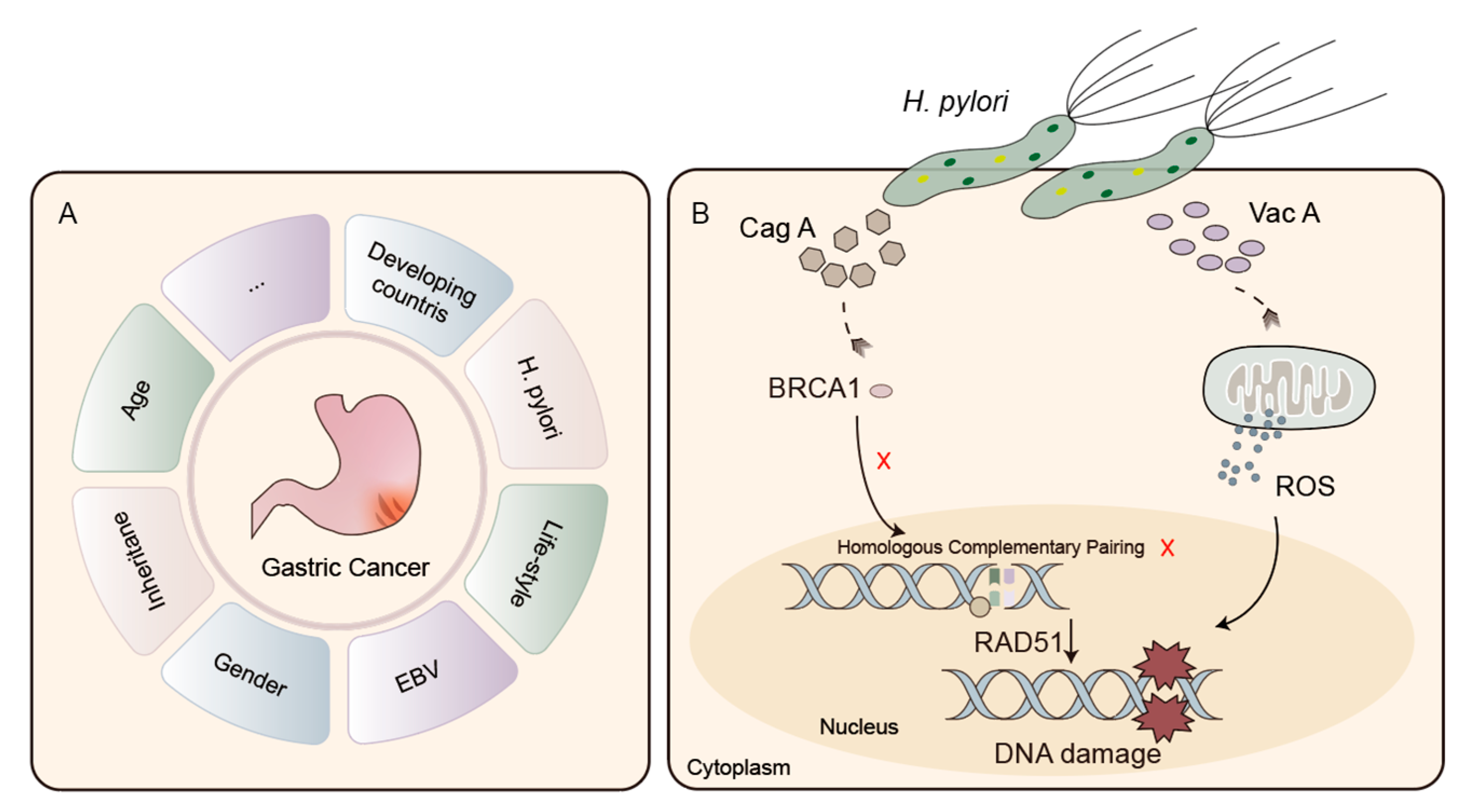 Cancers 15 05114 g003