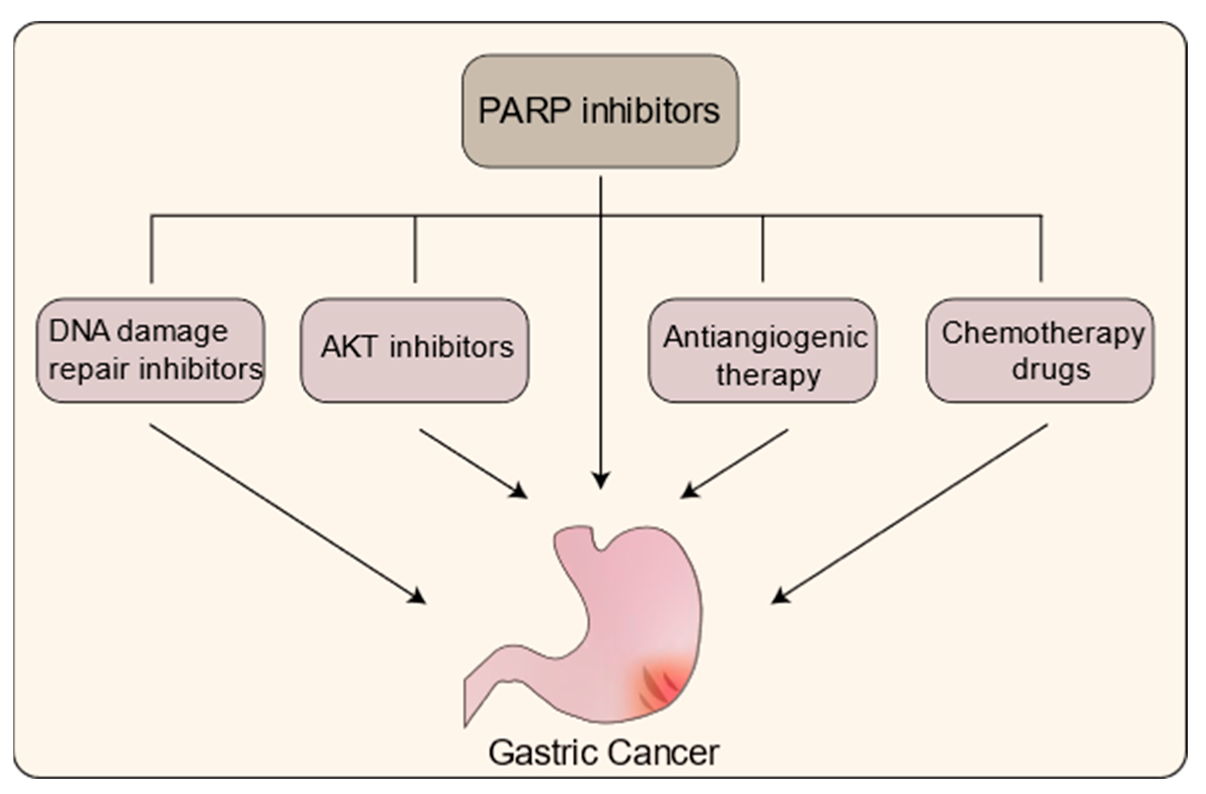 Cancers 15 05114 g004