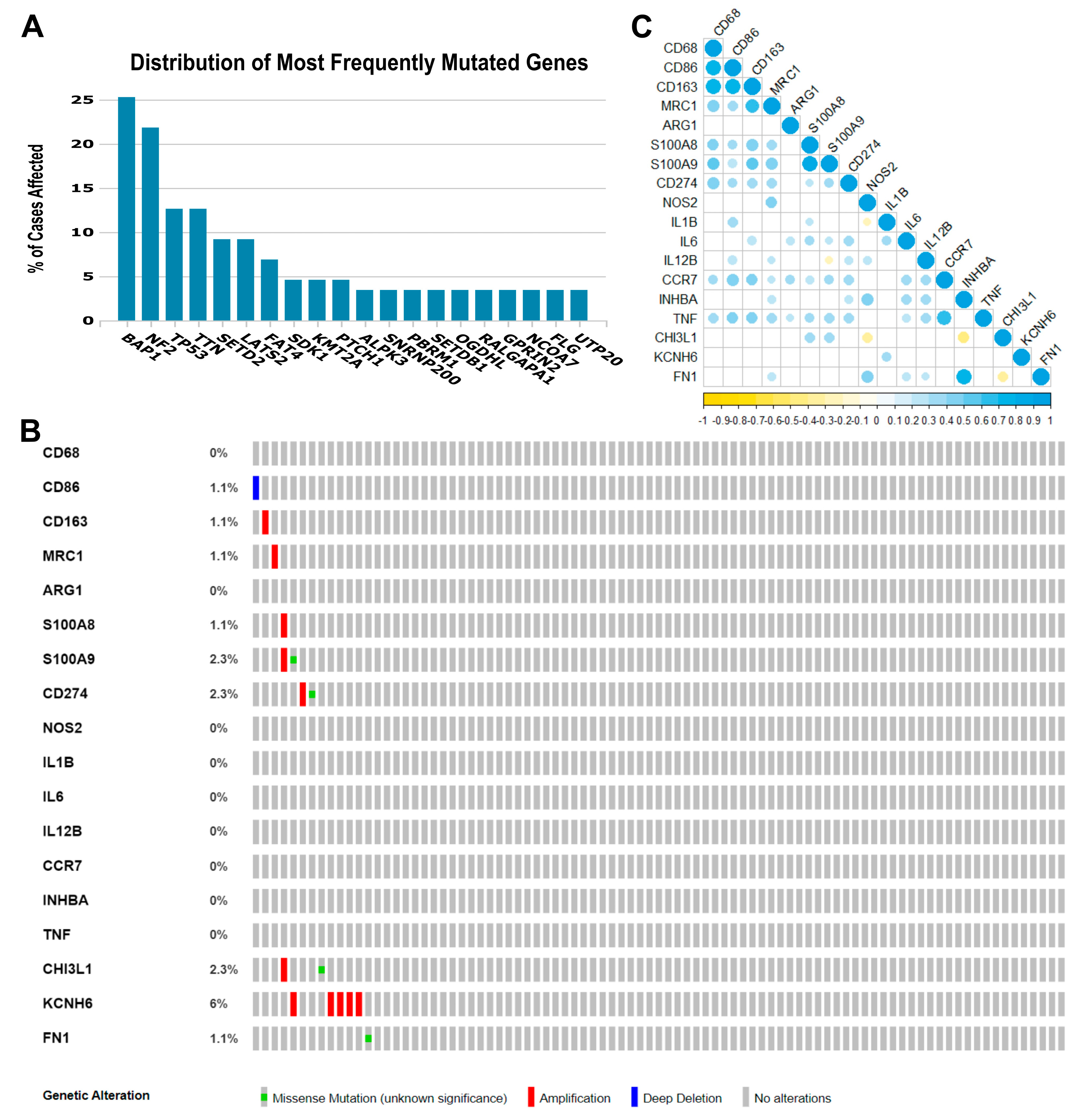 Cancers 15 05116 g001