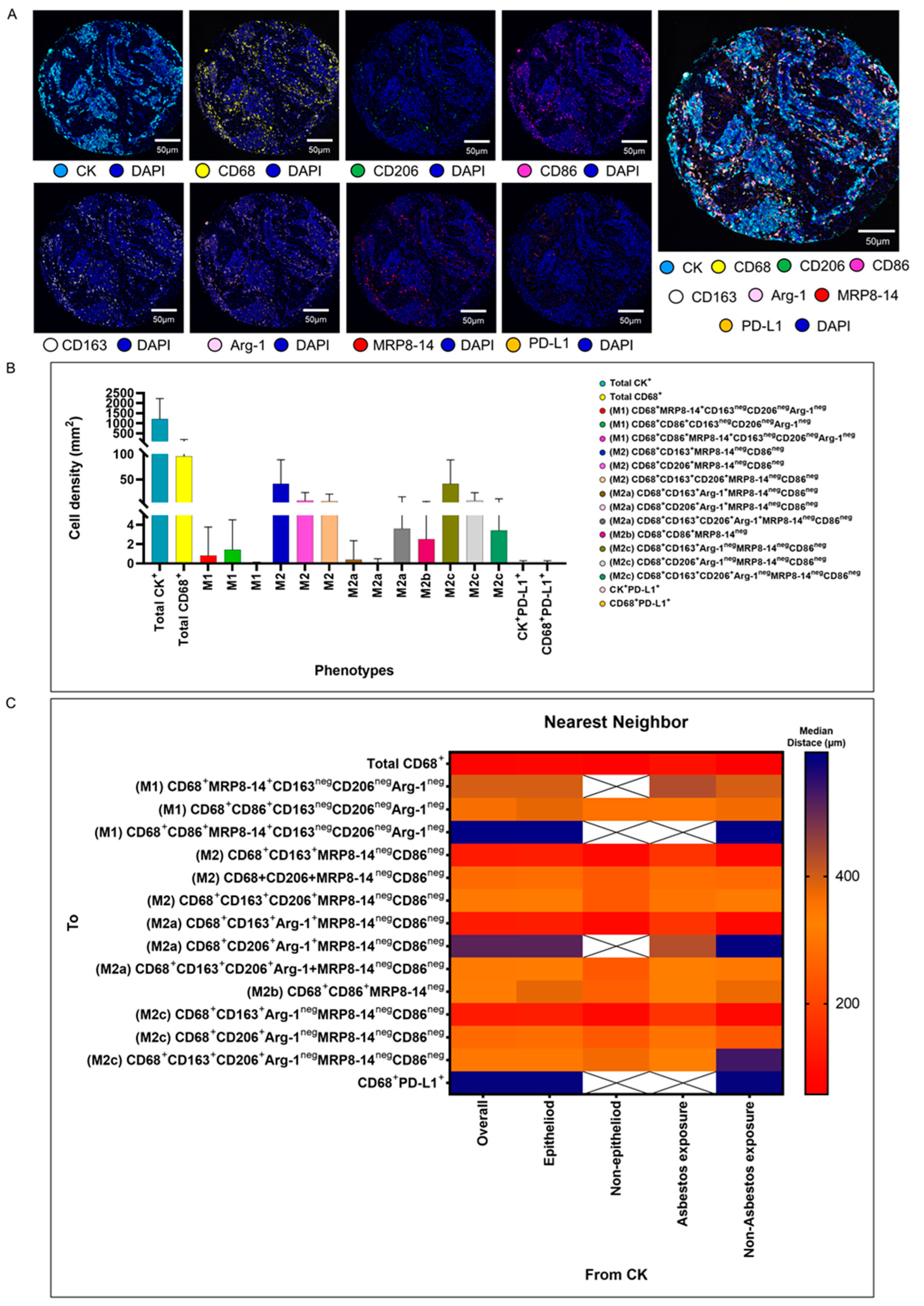Cancers 15 05116 g003