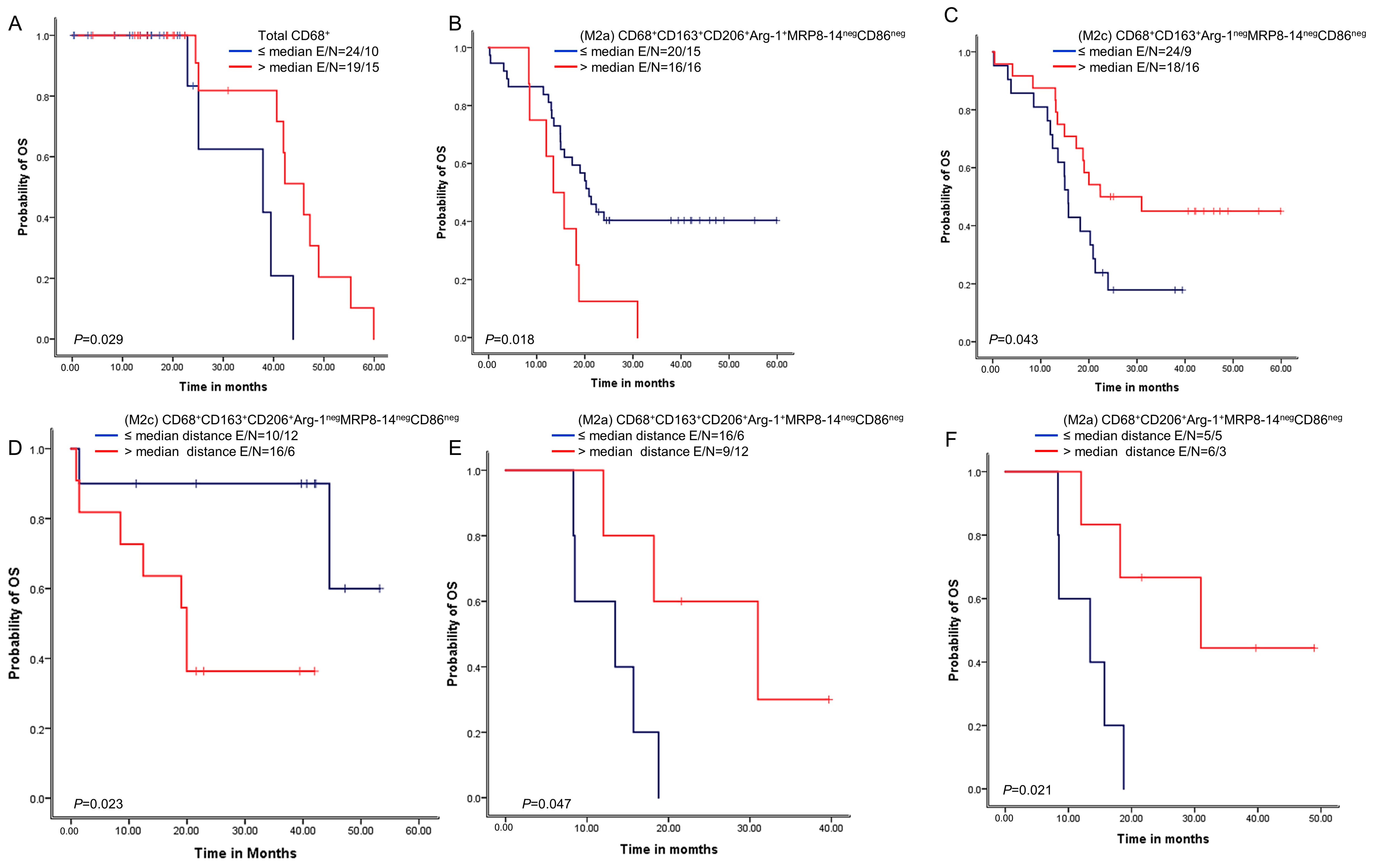 Cancers 15 05116 g005