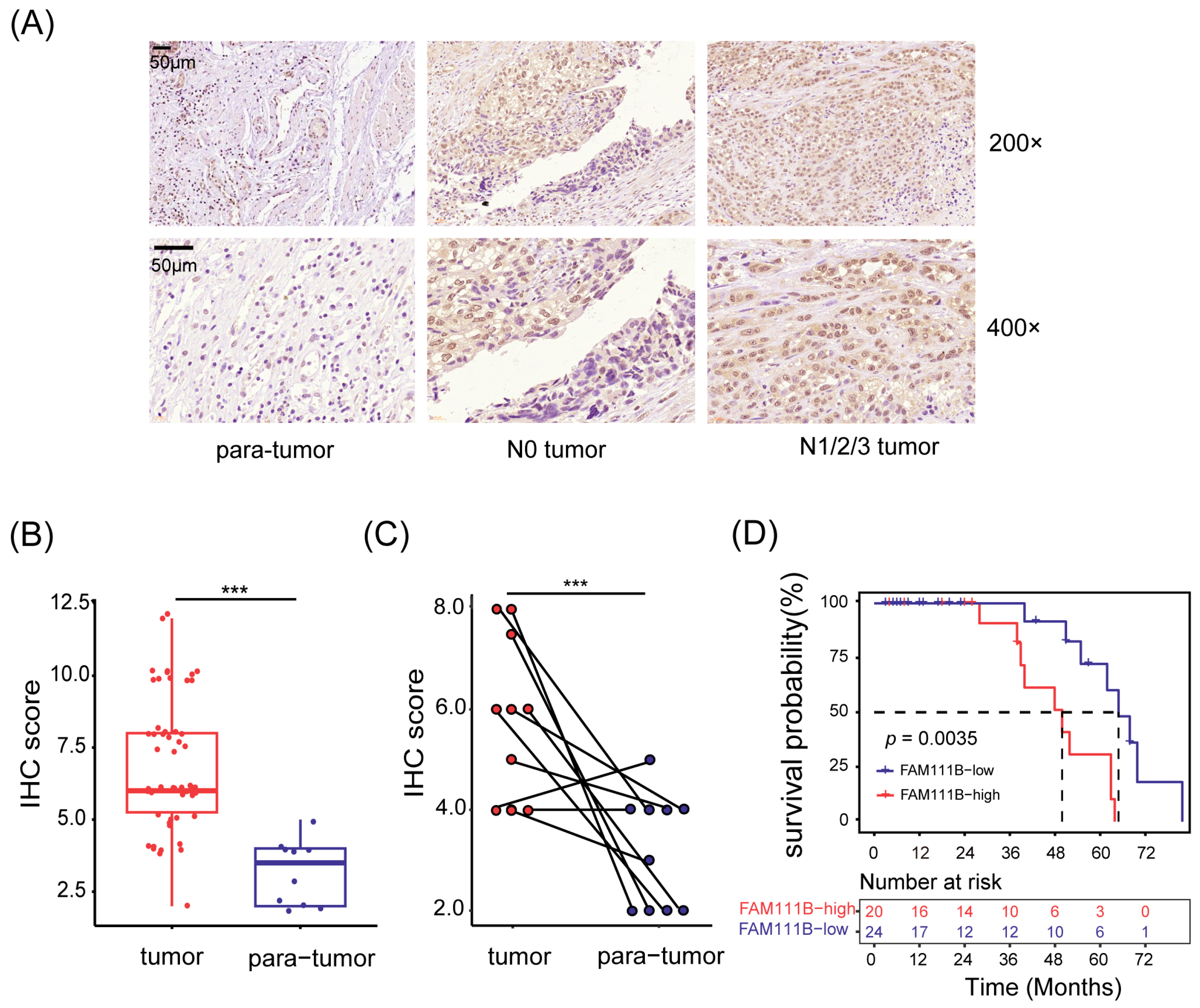 Cancers 15 05122 g001